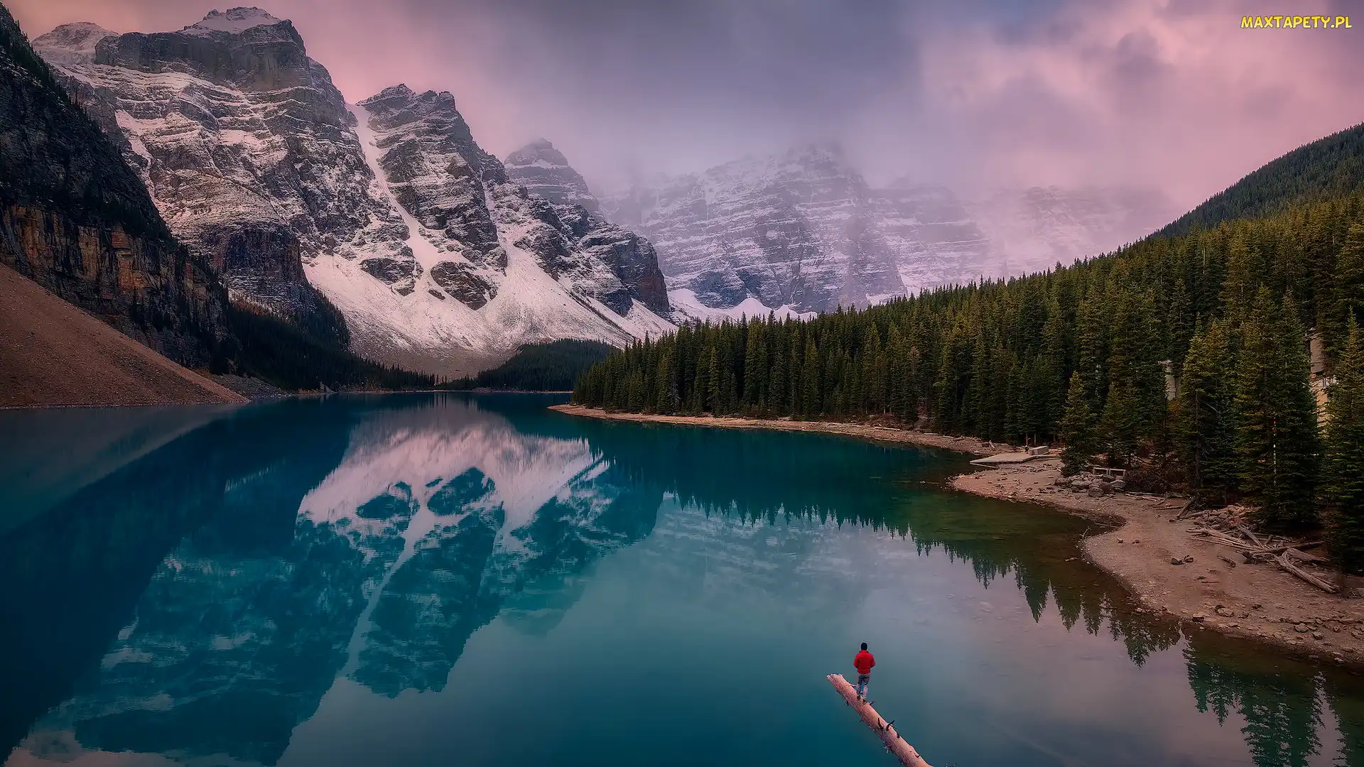 Drzewa, Konar, Park Narodowy Banff, Góry, Człowiek, Kanada, Jezioro, Alberta, Canadian Rockies, Moraine lake, Dolina Dziesięciu Szczytów