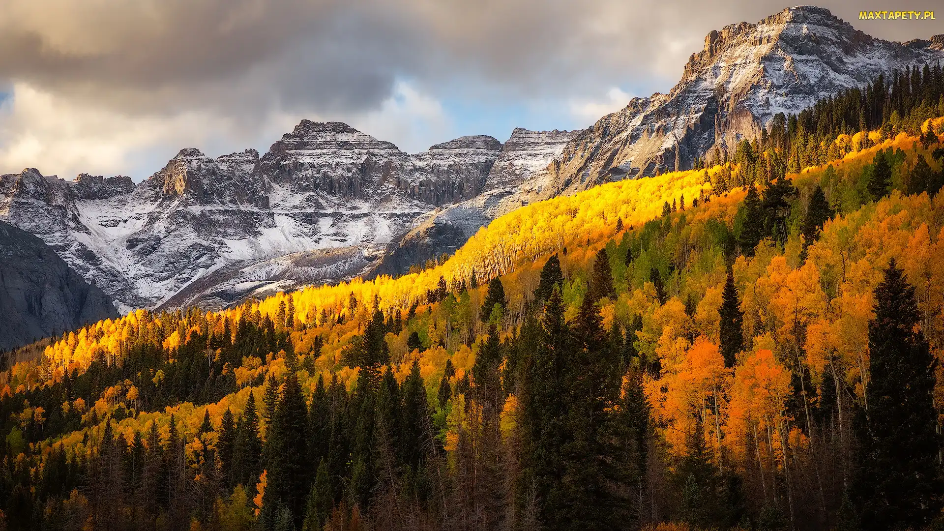 Kolorado, Jesień, San Juan Mountains, Stany Zjednoczone, Drzewa, Góry, Lasy