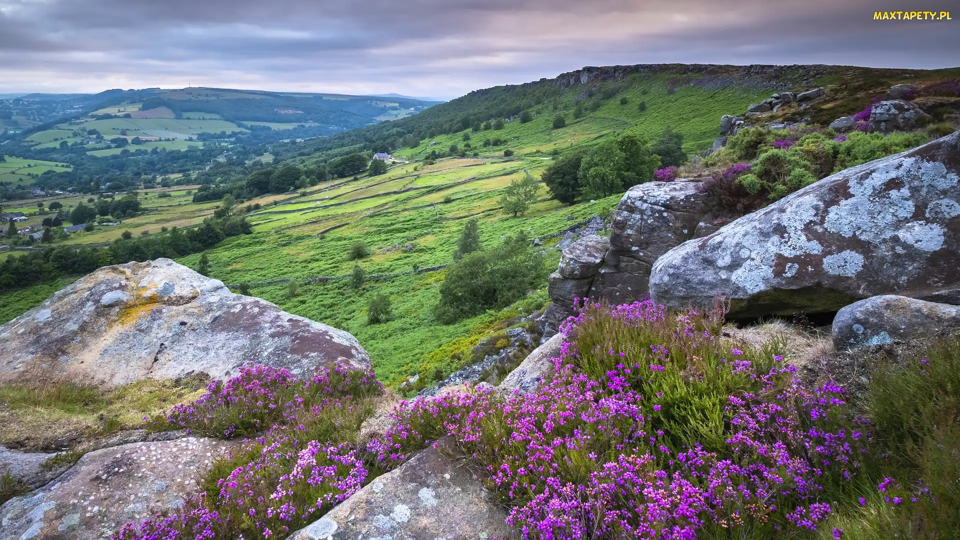 Skały, Anglia, Wzgórza, Park Narodowy Peak District, Wrzosy