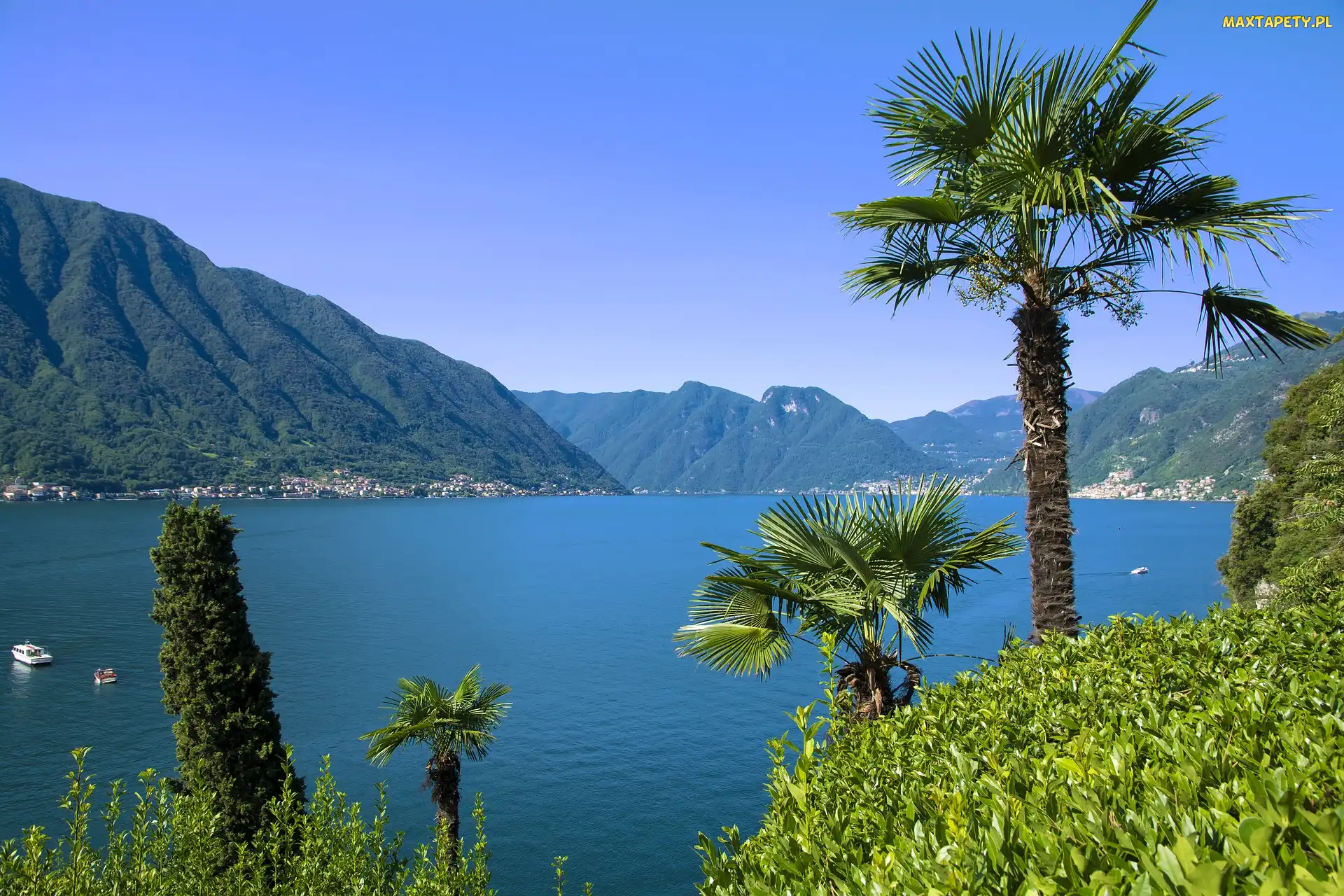 Góry, Palmy, Lombardia, Alpy, Como Lake, Włochy, Jezioro