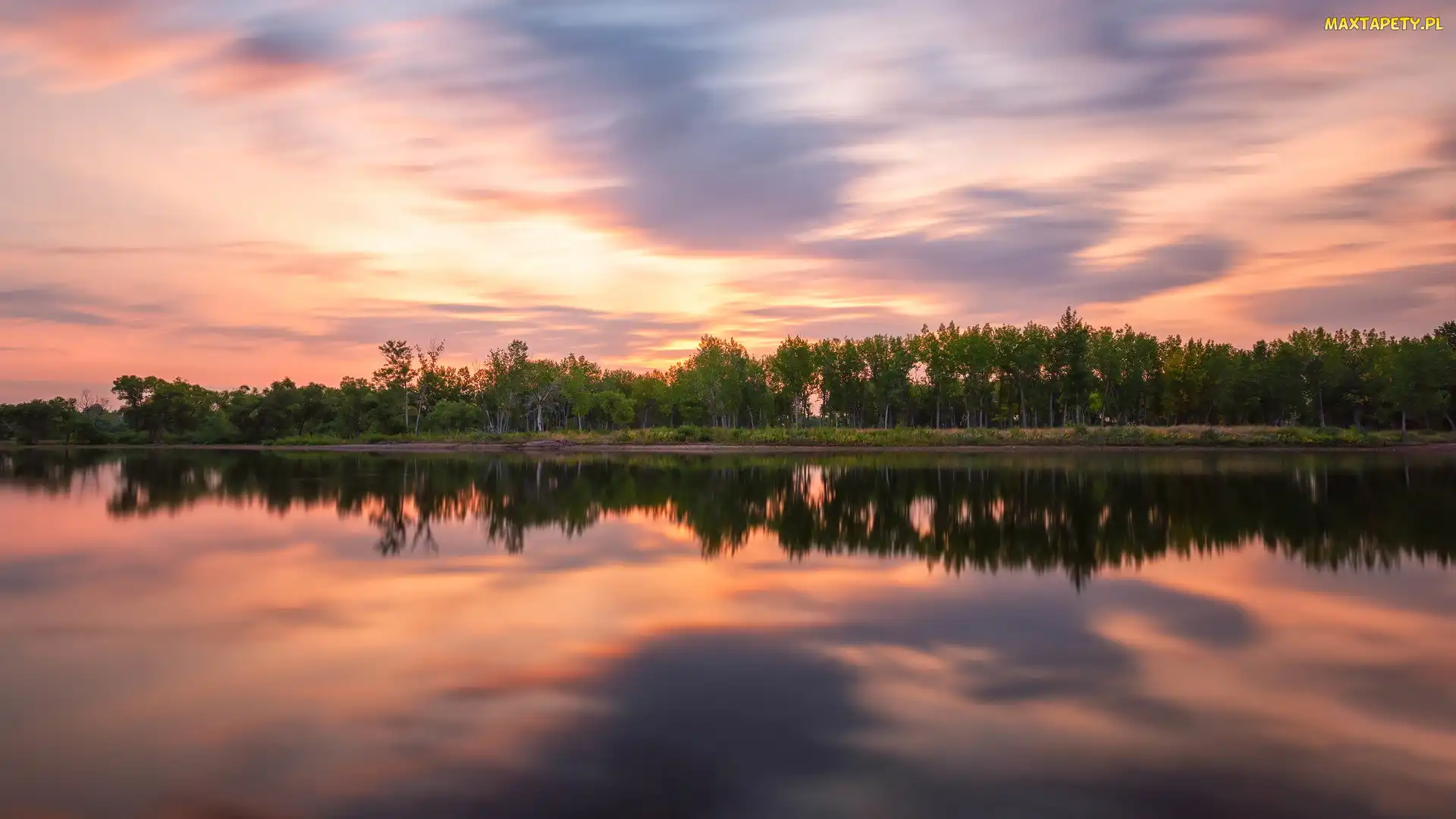 Park stanowy, Chatfield Lake, Wschód słońca, Jezioro, Kolorado, Chatfield State Park, Stany Zjednoczone, Drzewa