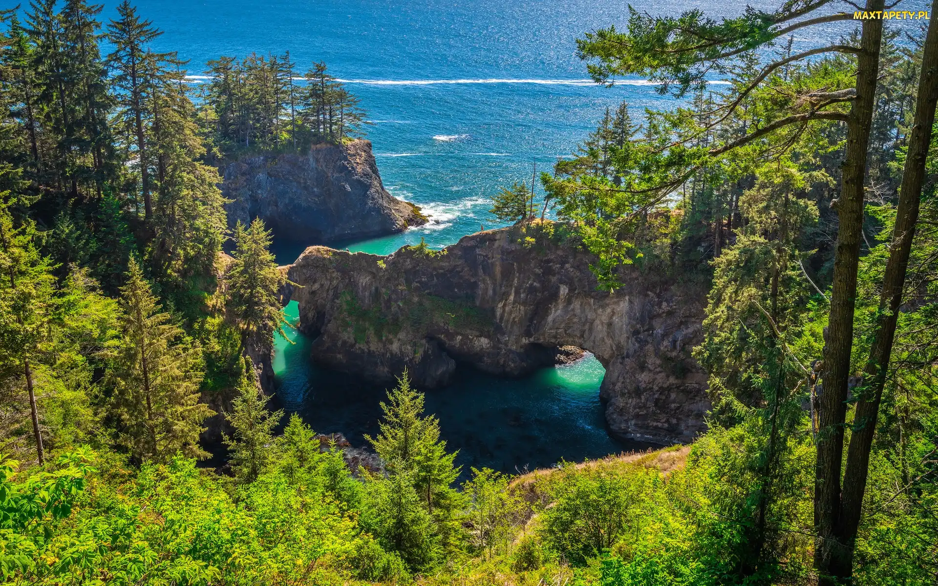 Skały, Oregon, Natural Bridges Viewpoint, Stany Zjednoczone, Brookings, Punkt widokowy, Most skalny, Drzewa, Morze