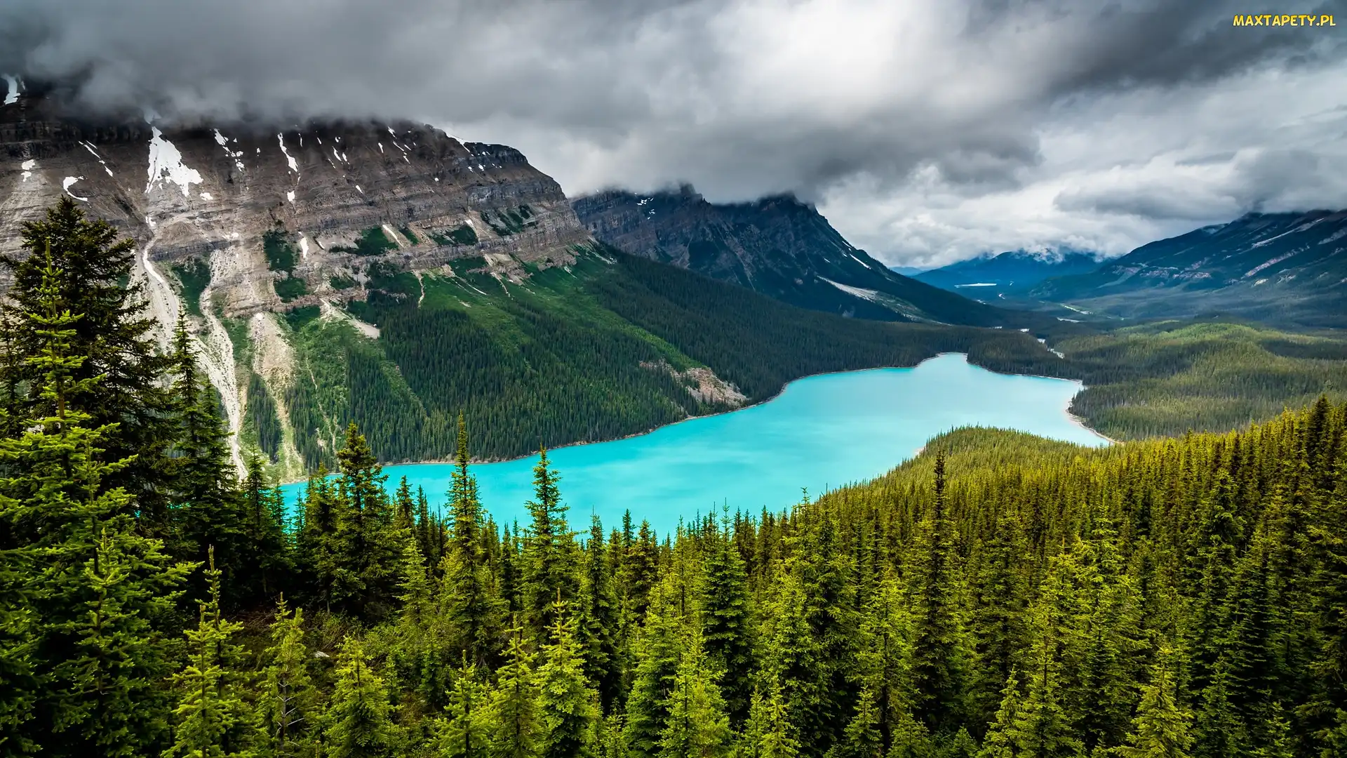 Kanada, Lasy, Drzewa, Prowincja Alberta, Peyto Lake, Jezioro, Góry, Skały, Park Narodowy Banff, Chmury