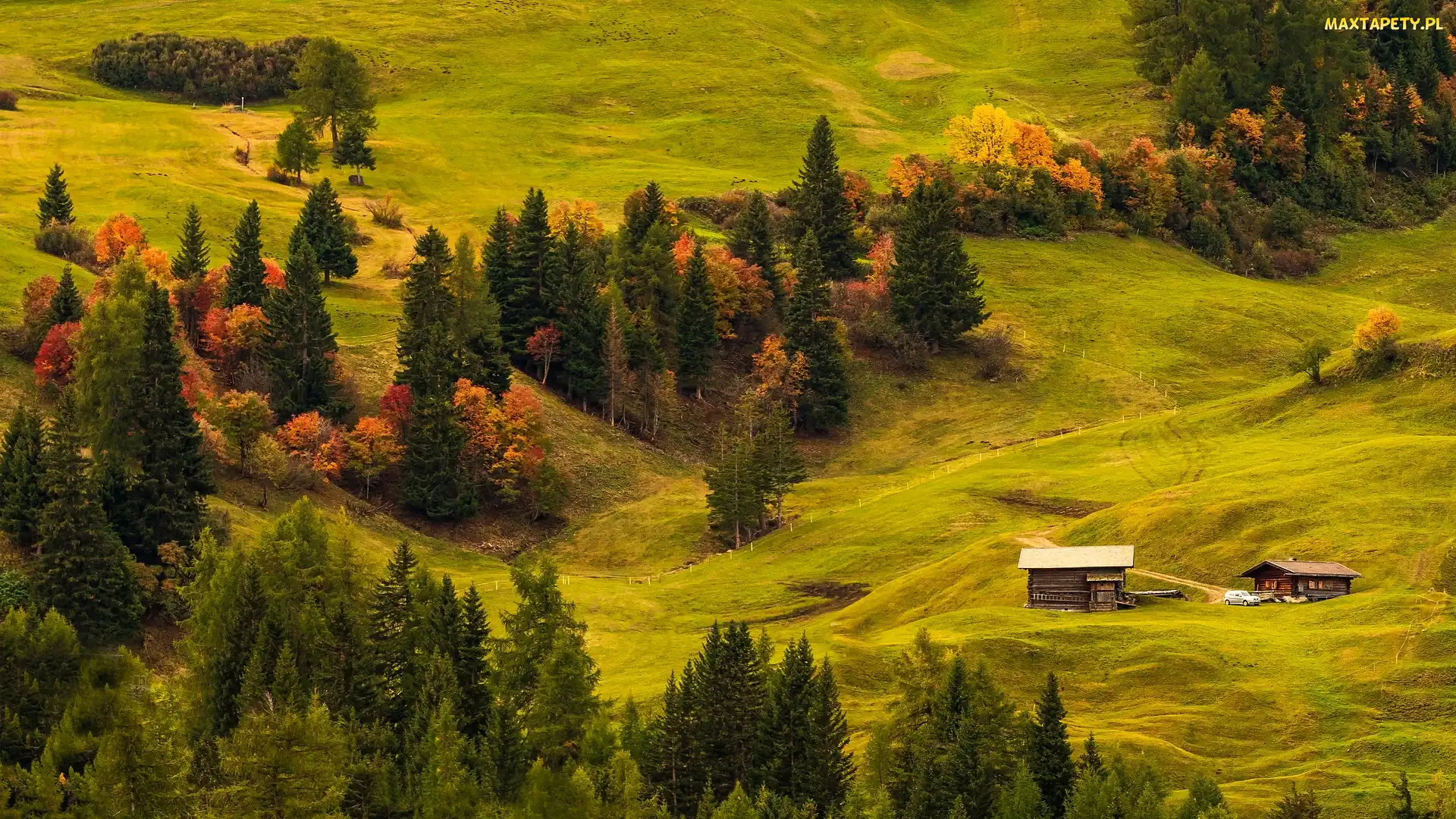 Dolina Val Gardena, Łąki, Seiser Alm, Płaskowyż, Włochy, Domy, Drewniane, Drzewa, Wzgórza