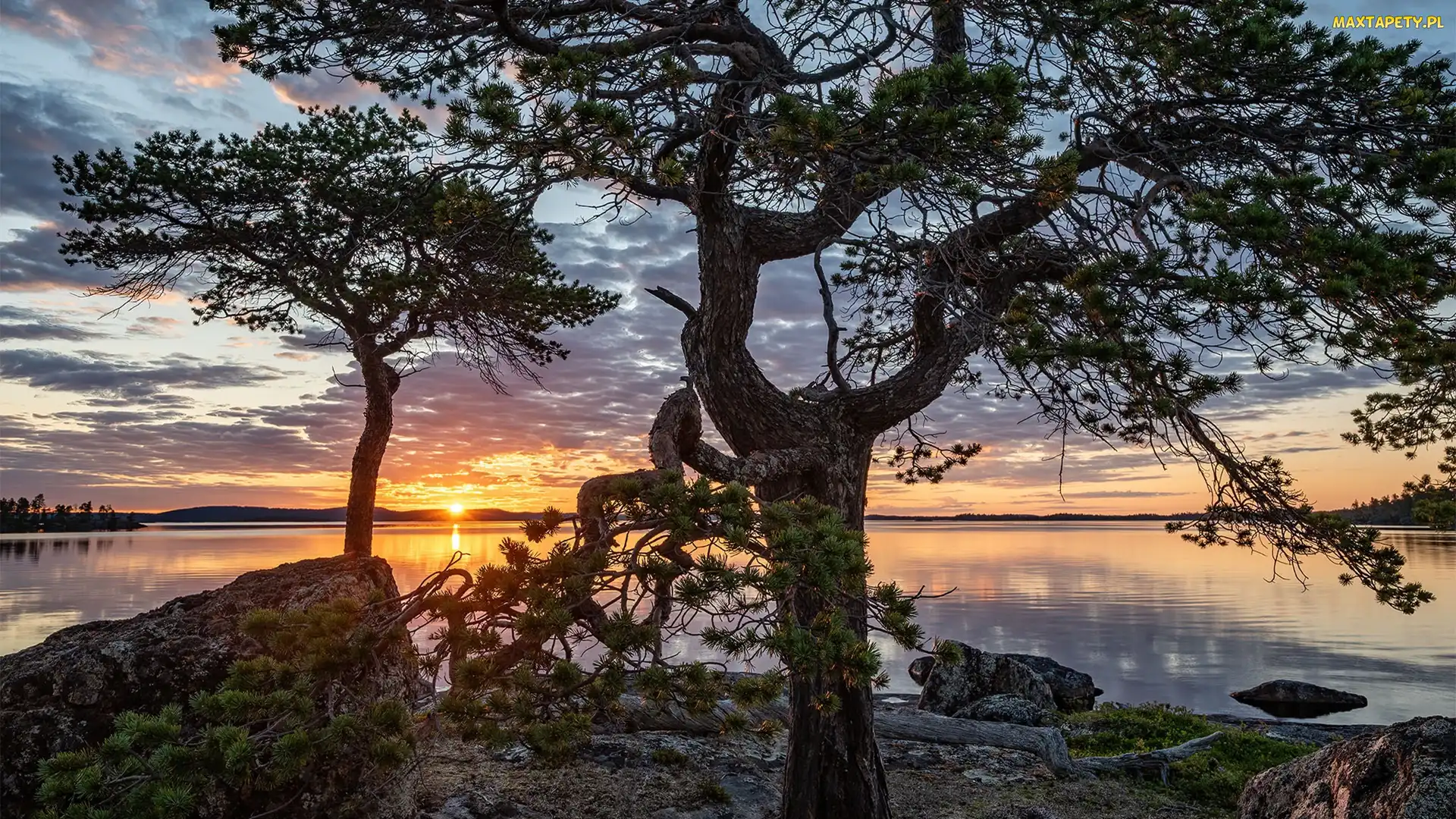 Laponia, Chmury, Lake Inari, Finlandia, Zachód słońca, Jezioro, Drzewa