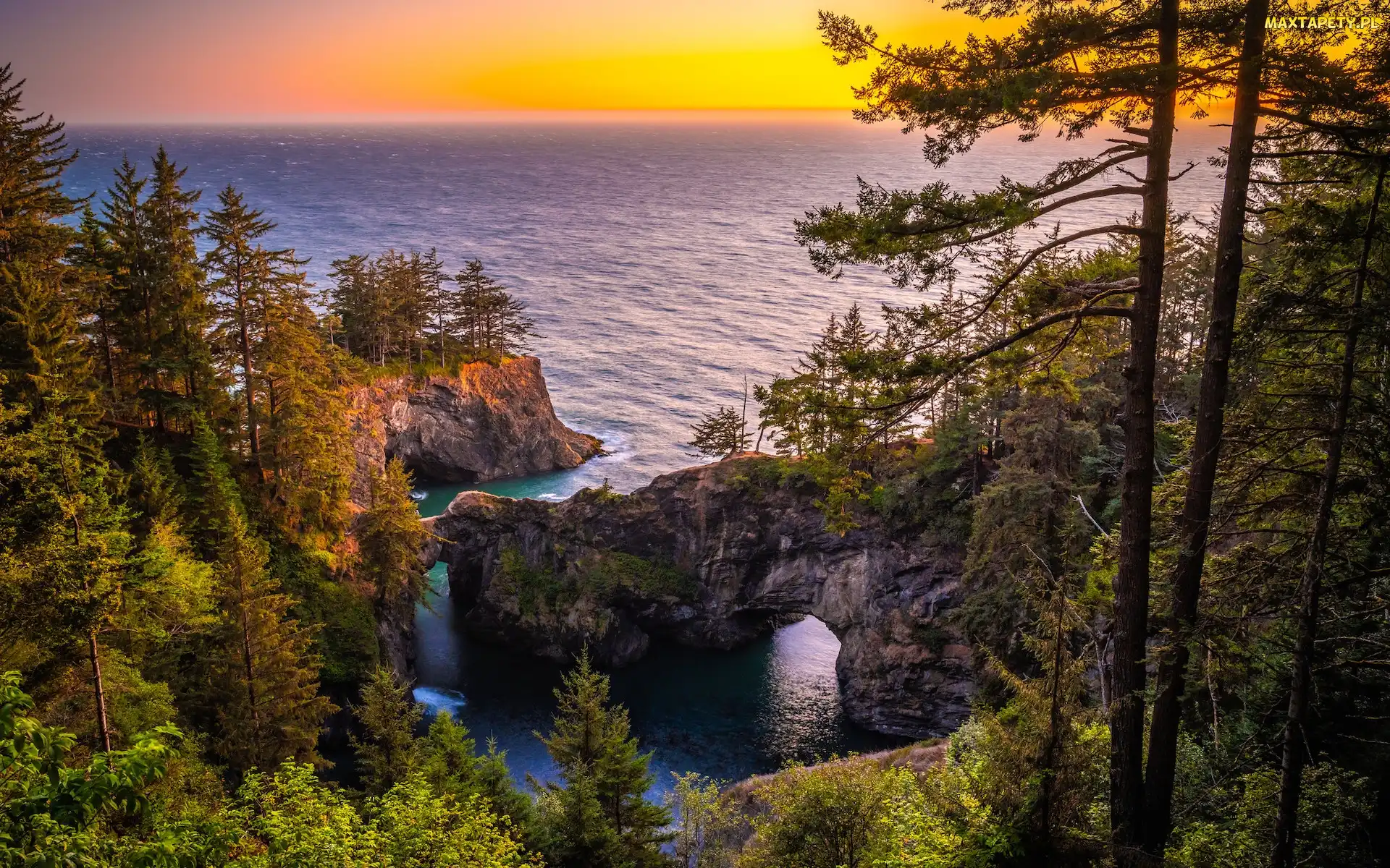 Punkt widokowy, Natural Bridges Viewpoint, Skały, Wybrzeże Park stanowy, Brookings, Stany Zjednoczone, Most skalny, Oregon, Samuel H. Boardman State Scenic Corridor, Drzewa, Morze