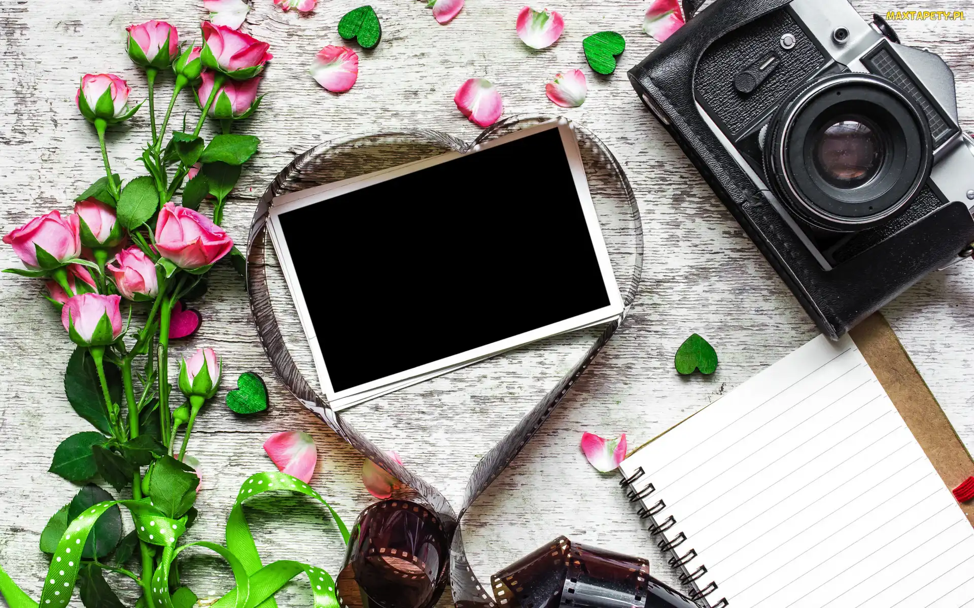 Zdjęcie, Notes, Aparat fotograficzny, Róże, Kwiaty