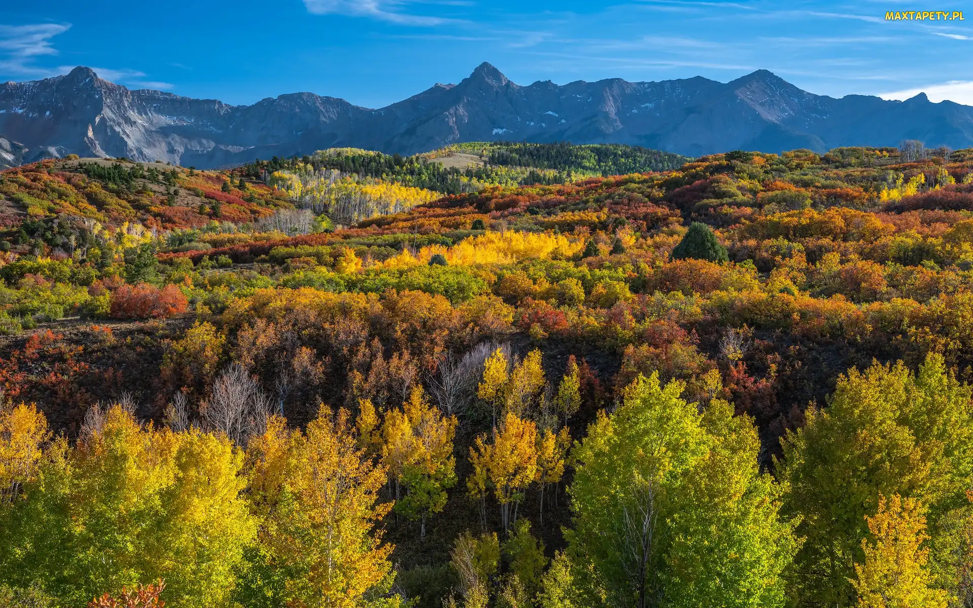 Drzewa, Roślinność, San Juan Mountains, Kolorowa, Telluride, Stan Kolorado, Las, Jesień, Stany Zjednoczone, Góry