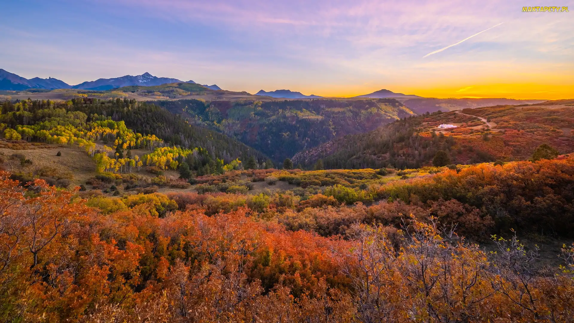Jesień, Kolorado, Kolorowe, Stany Zjednoczone, Krzewy, Lasy, Góry, San Juan Mountains, Drzewa