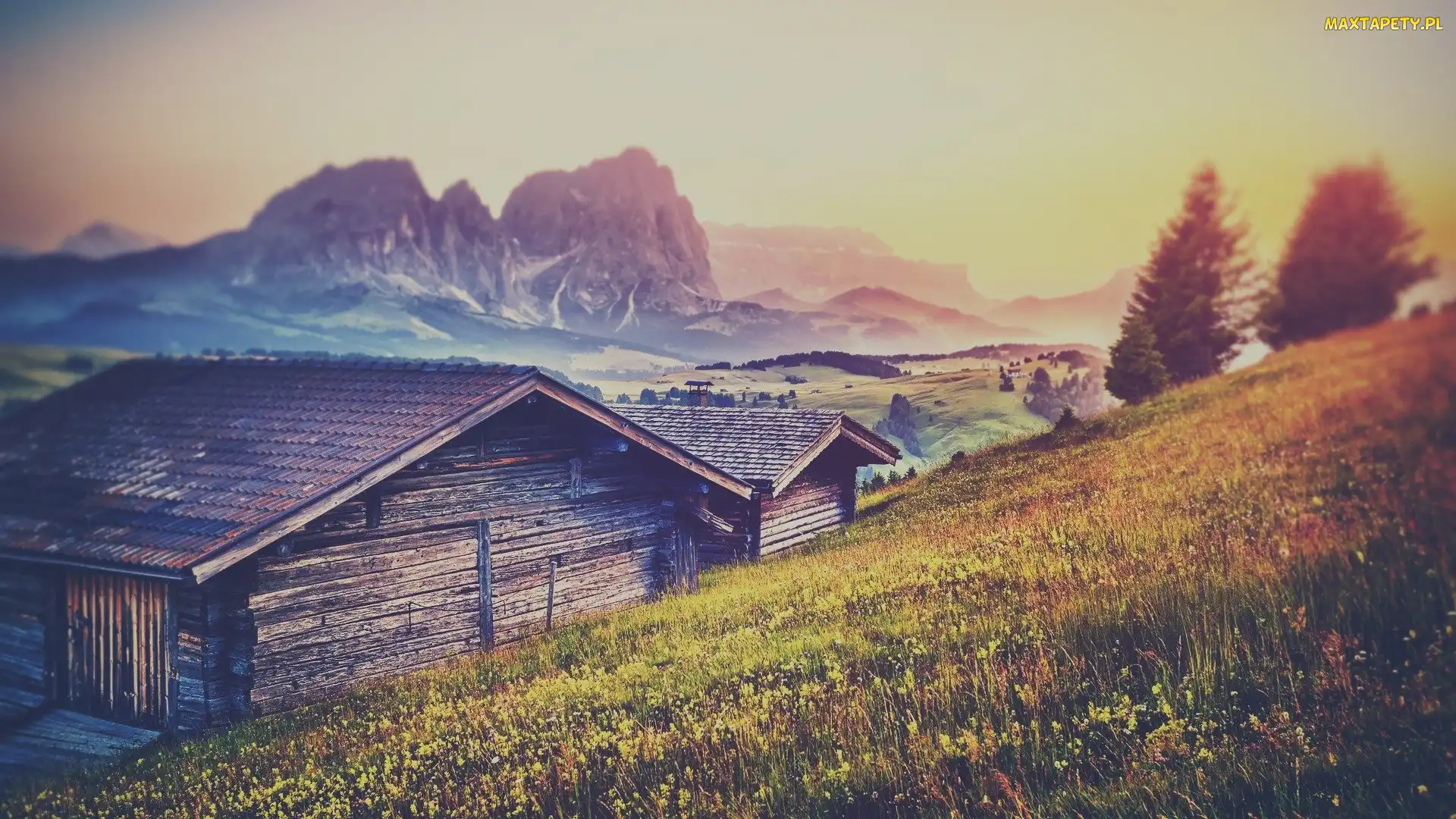 Góry Sassolungo, Drzewa, Drewniane, Dolina Val Gardena, Mgła, Włochy, Domki, Rozmycie, Dolomity, Łąka, Płaskowyż Seiser Alm