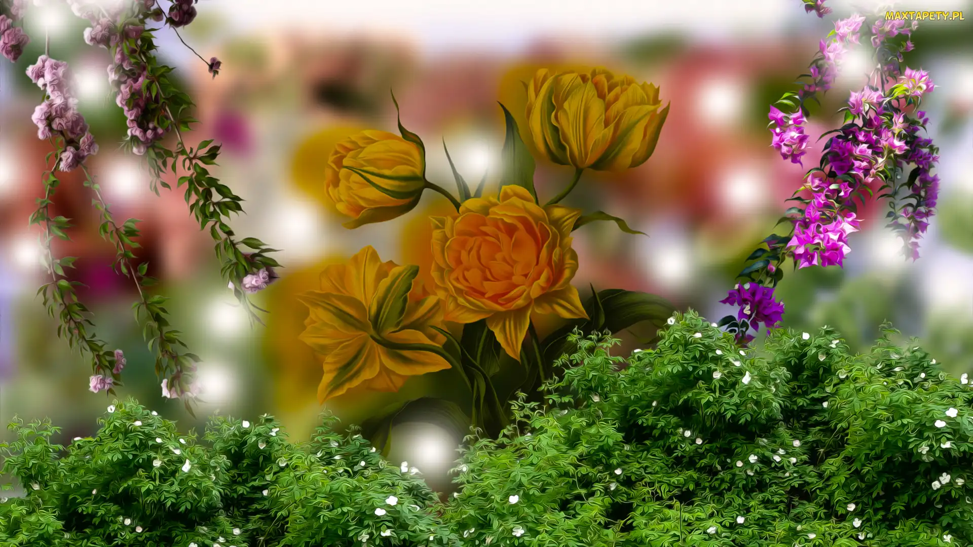 Tulipany, Grafika 2D, Kwiaty