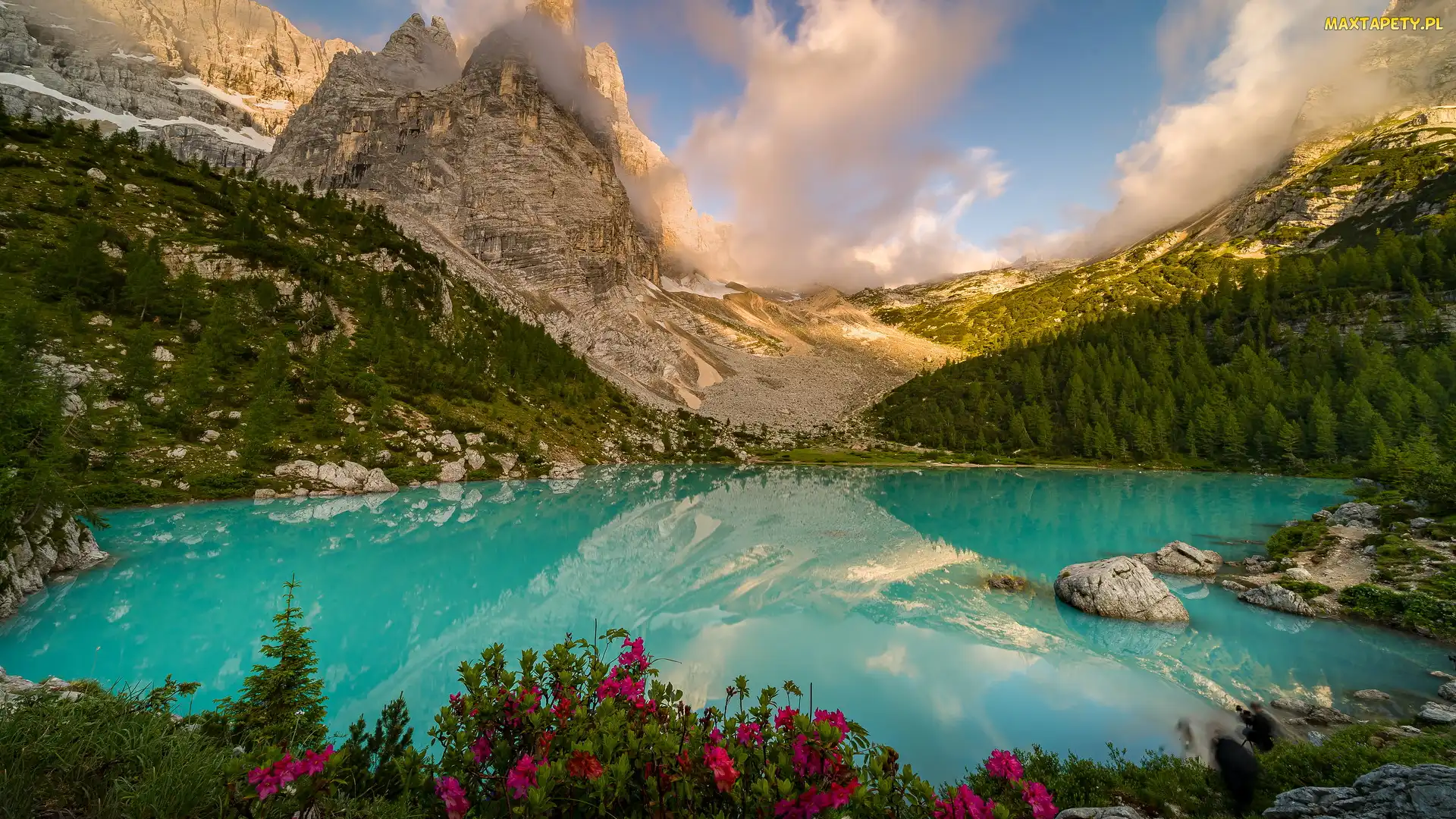 Góry, Prowincja Belluno, Lasy, Włochy, Kwiaty, Drzewa, Dolomity, Masyw Sorapiss, Jezioro Sorapis