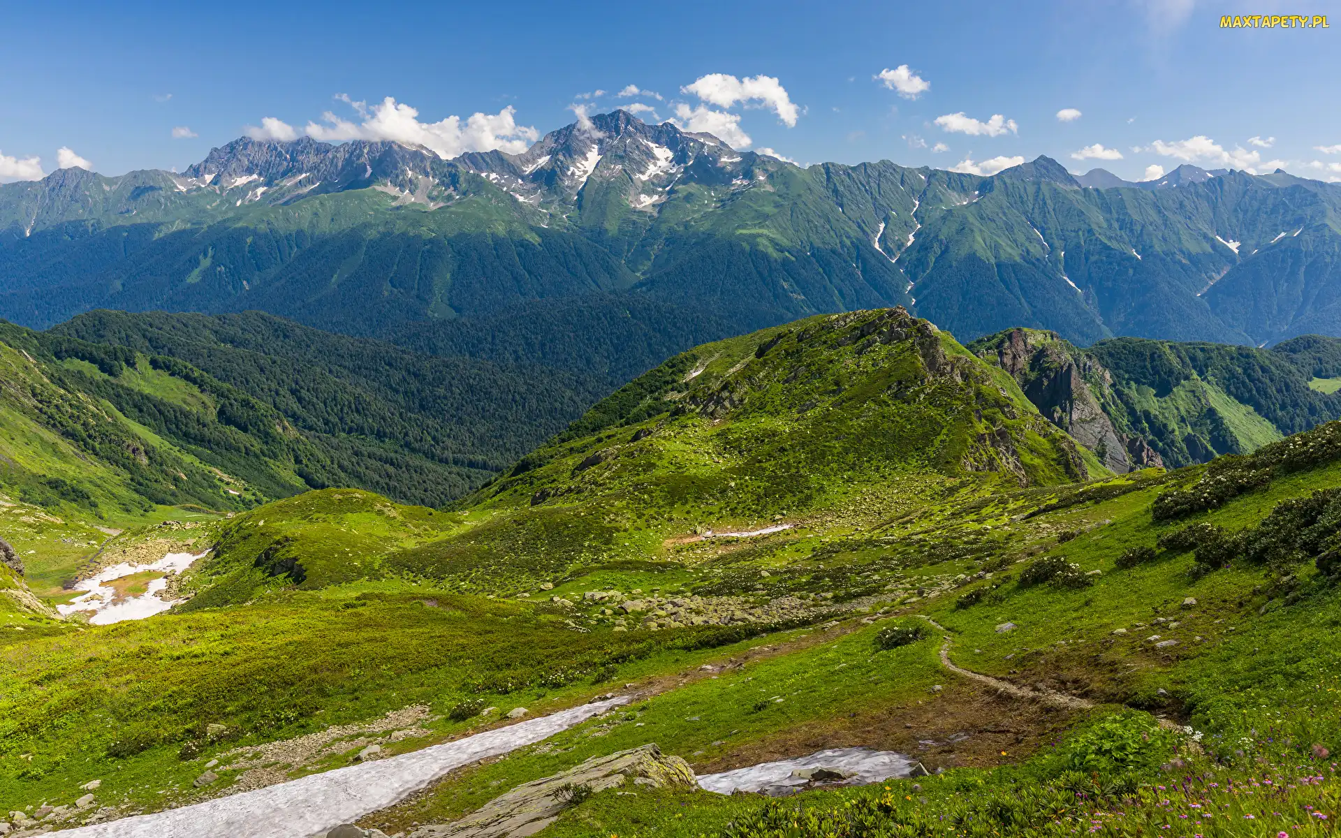 Góry, Kraj Krasnodarski, Drzewa, Rosja, Trawa, Chmury, Kaukaz, Góra, Mount Chugush