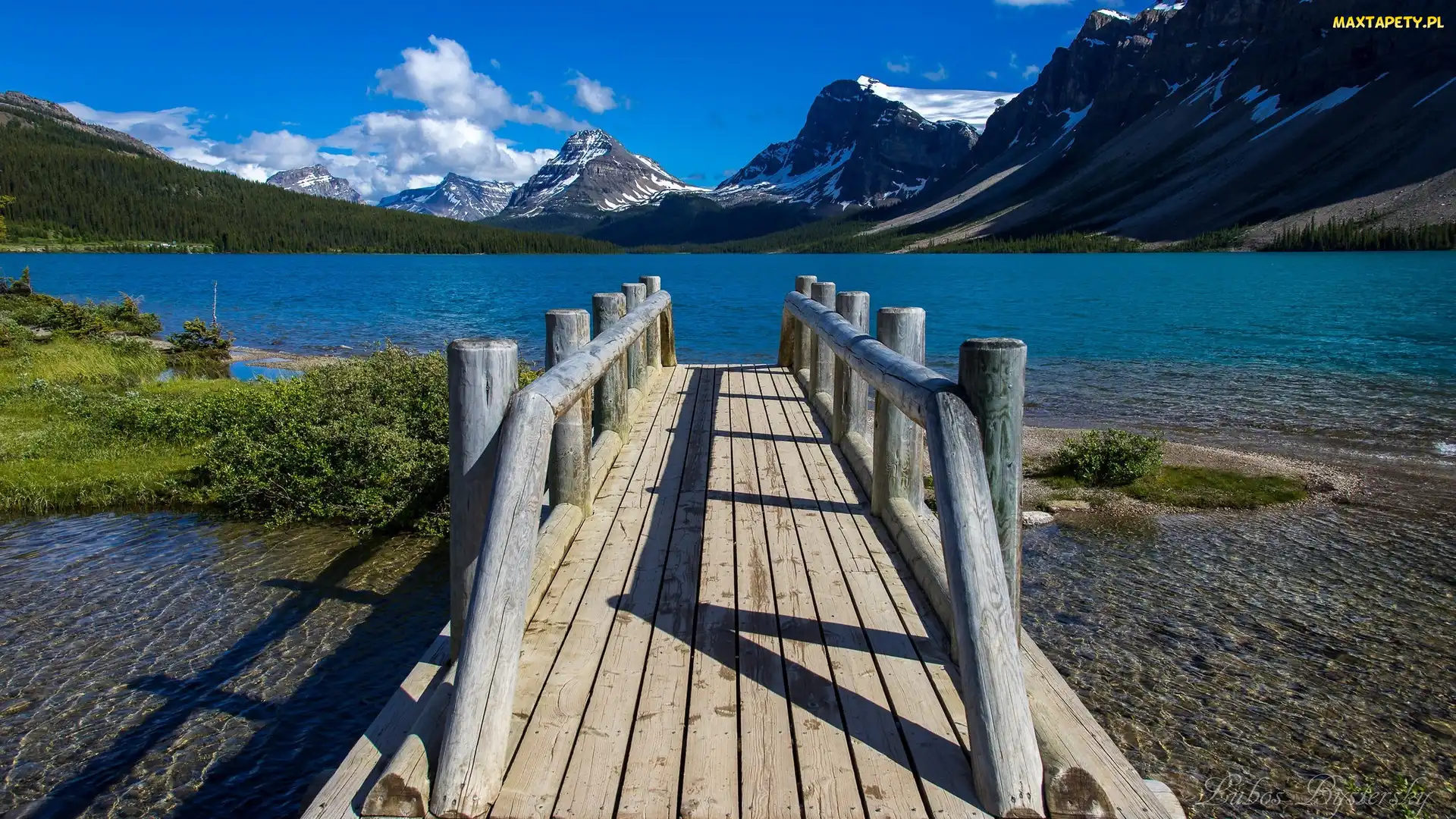 Jezioro, Krzewy, Góry, Pomost, Alberta, Bow Lake, Kanada, Park Narodowy Banff