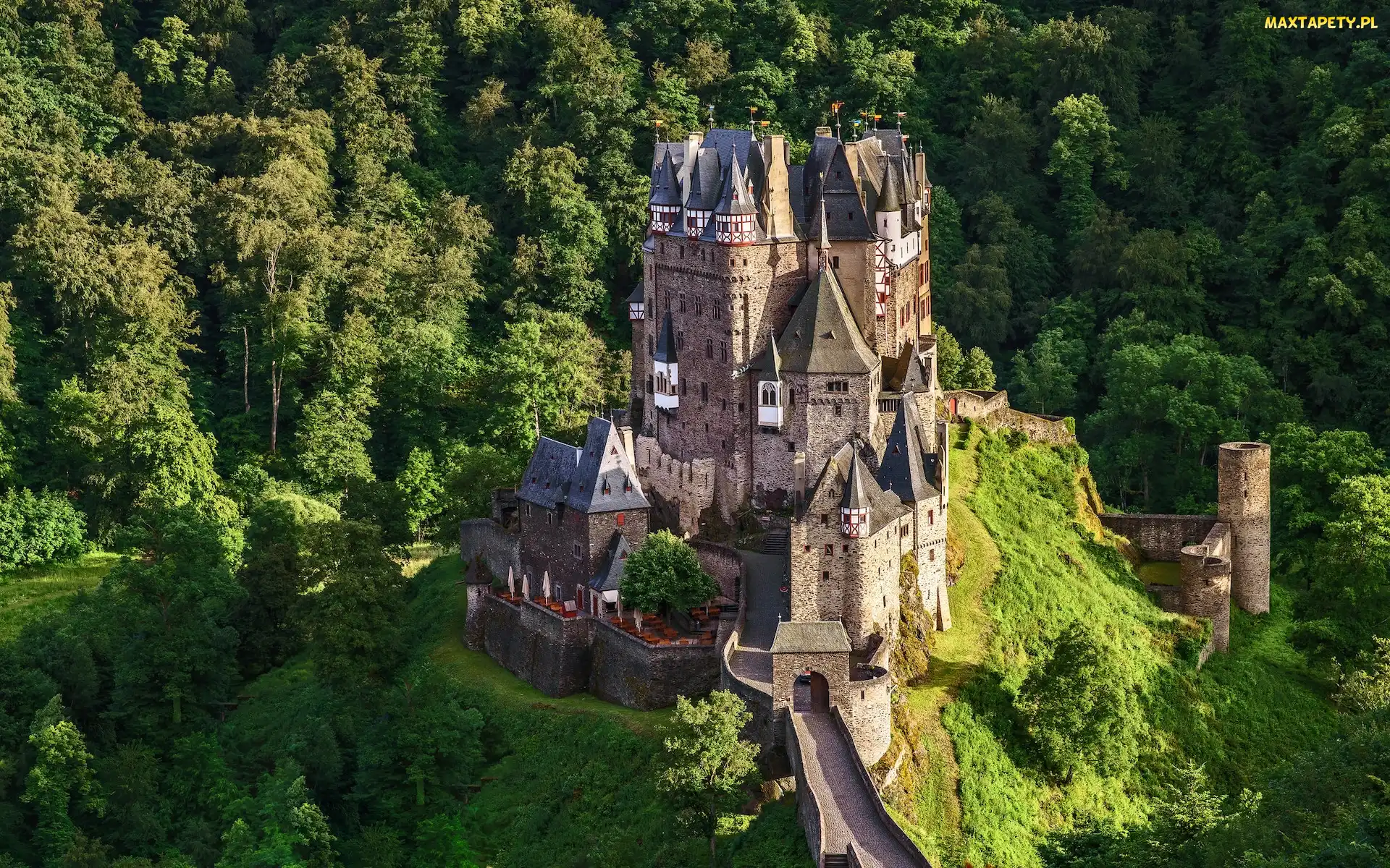 Zamek Eltz, Góry Eifel, Niemcy, Zielone, Drzewa, Gmina Wierschem, Las