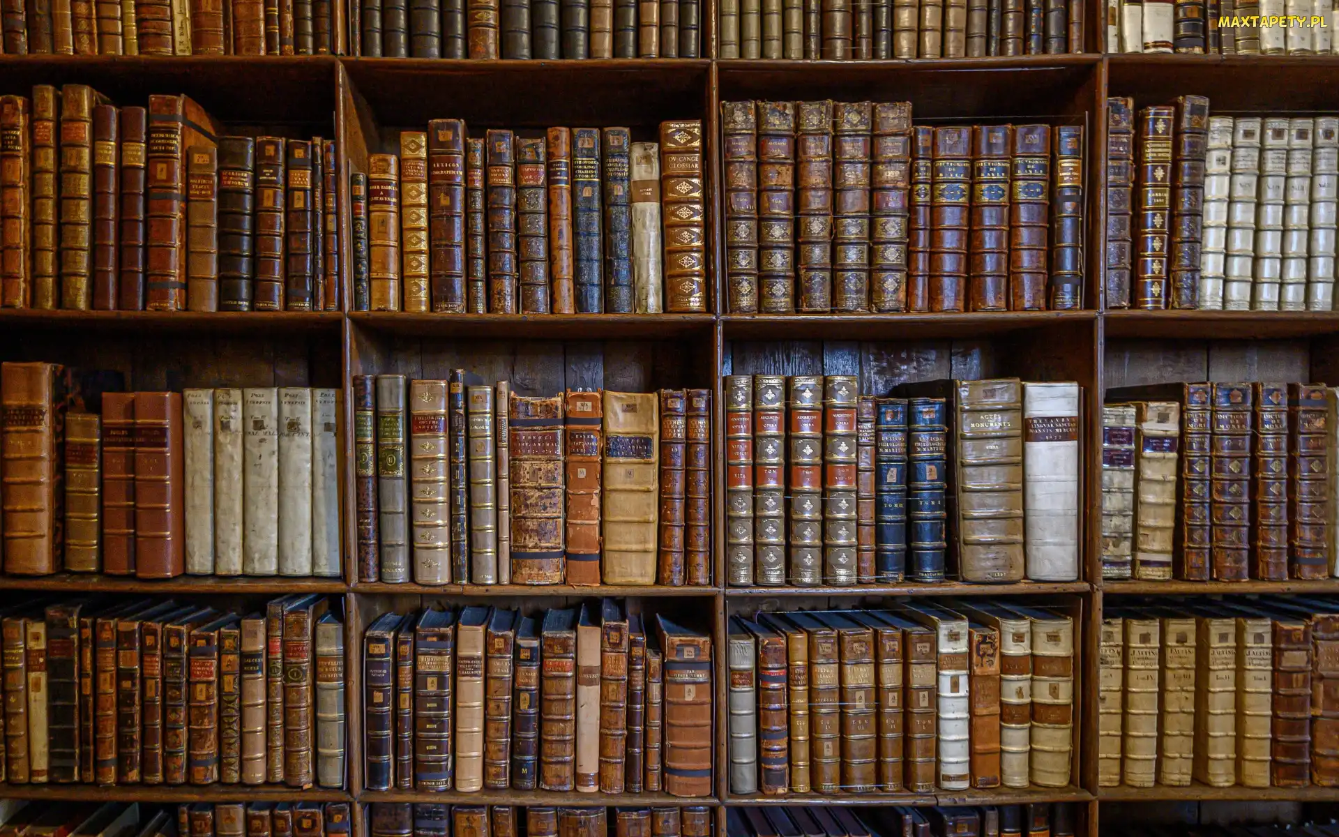 Regał, Półki, Biblioteka, Książki