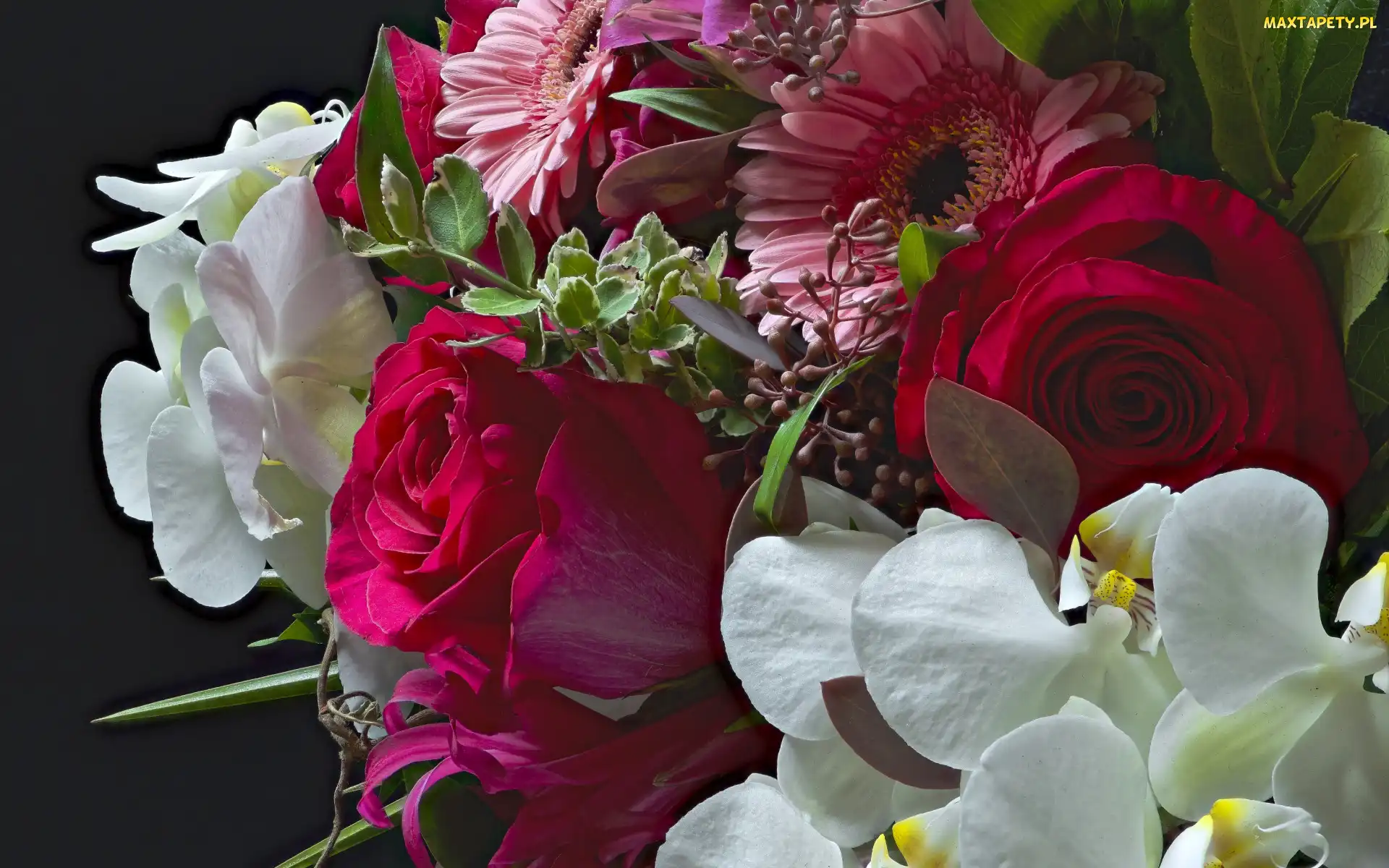 Bukiet, Gerbera, Orchidea, Róże, Kwiaty