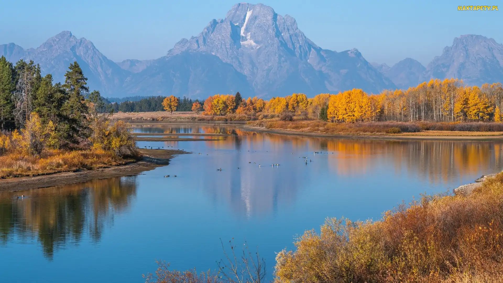 Park Narodowy Grand Teton, Stan Wyoming, Drzewa, Stany Zjednoczone, Jesień, Teton Range, Rzeka, Snake River, Góry