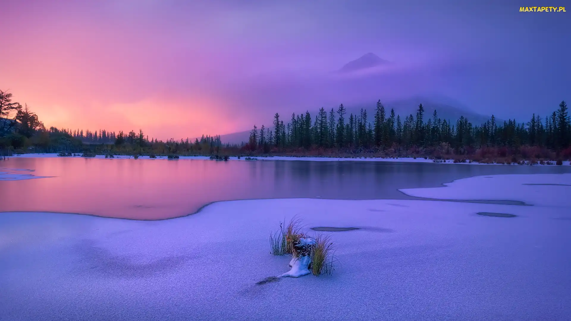 Park Narodowy Banff, Canadian Rockies, Kanada, Jezioro, Vermilion Lake, Zima, Góry, Alberta, Drzewa, Mgła, Szczyt