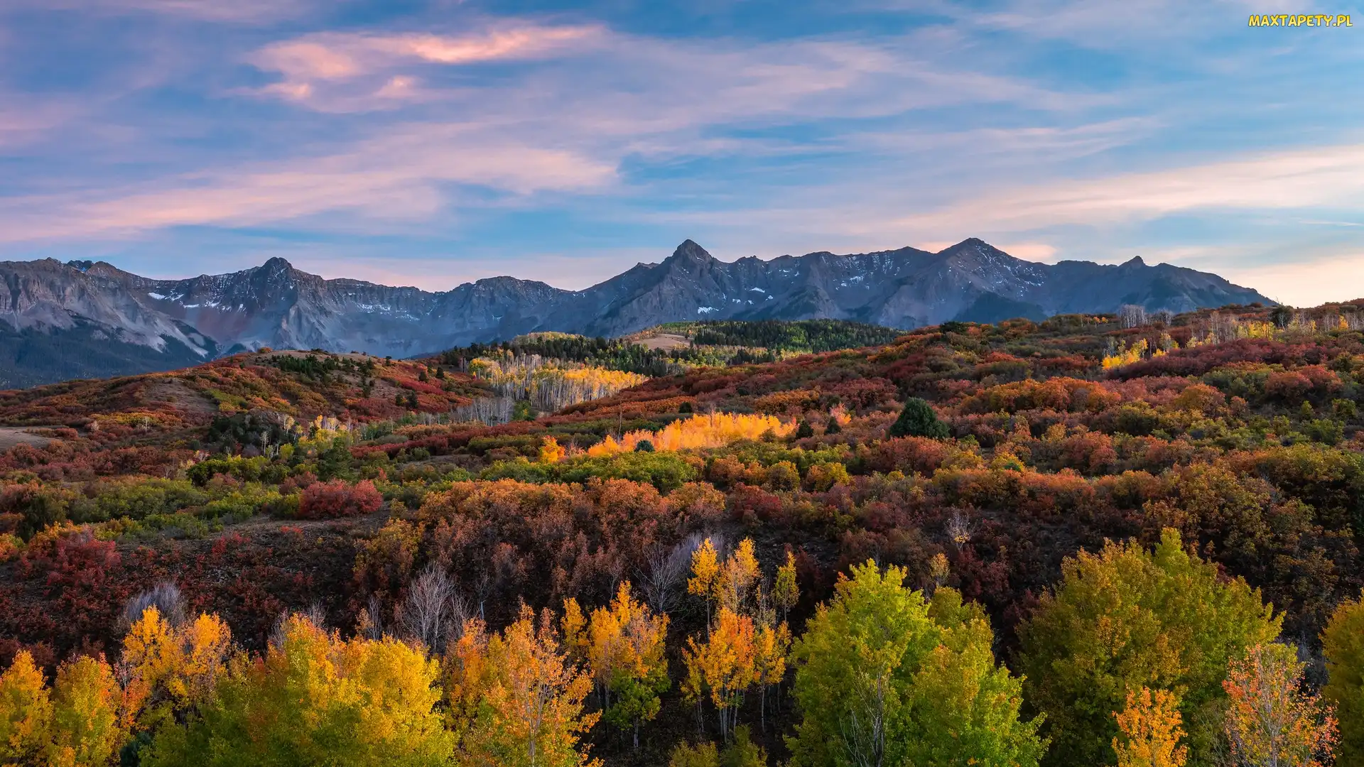 Góry, Las, Telluride, Stany Zjednoczone, Drzewa, San Juan Mountains, Kolorado, Jesień