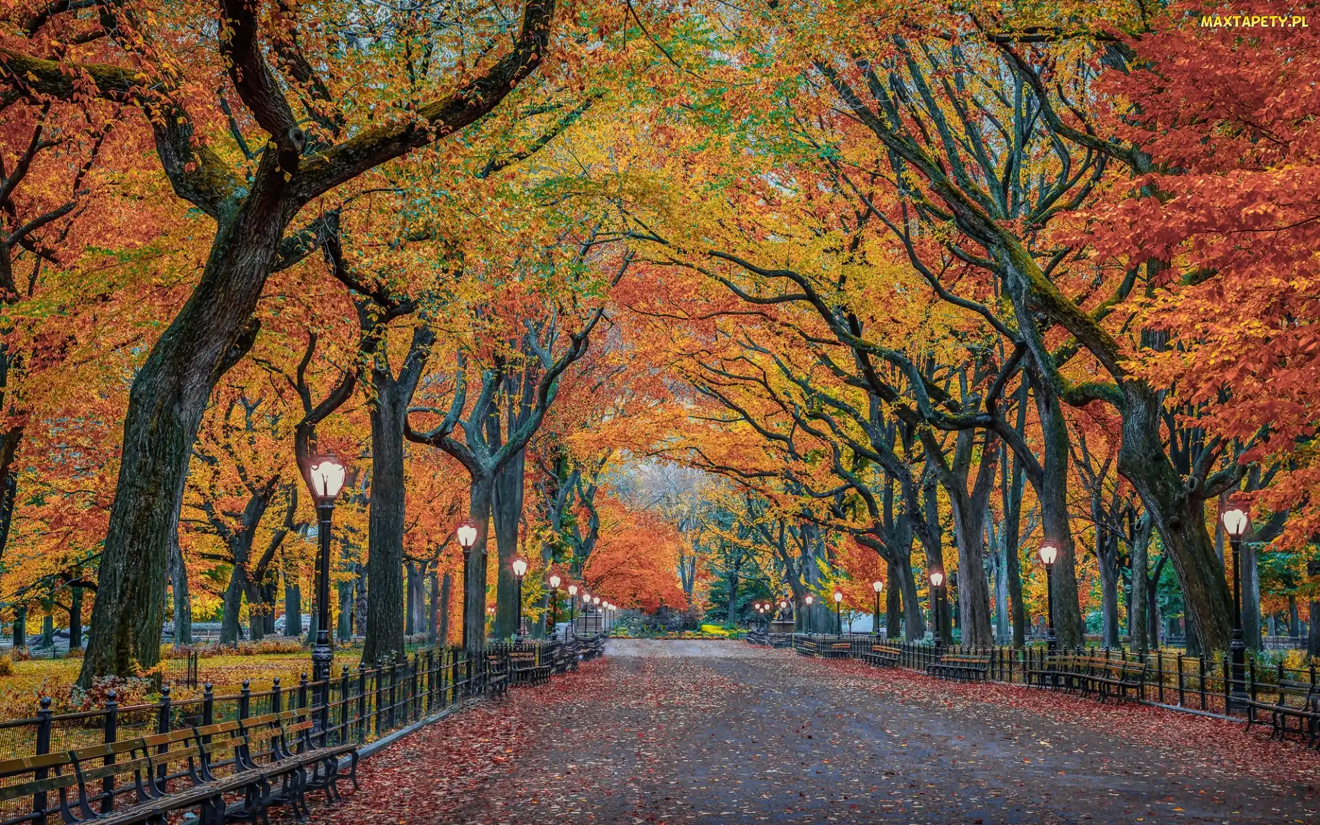 Nowy Jork, Latarnie, Stany Zjednoczone, Drzewa, Ławki, Central Park, Jesień, Aleja