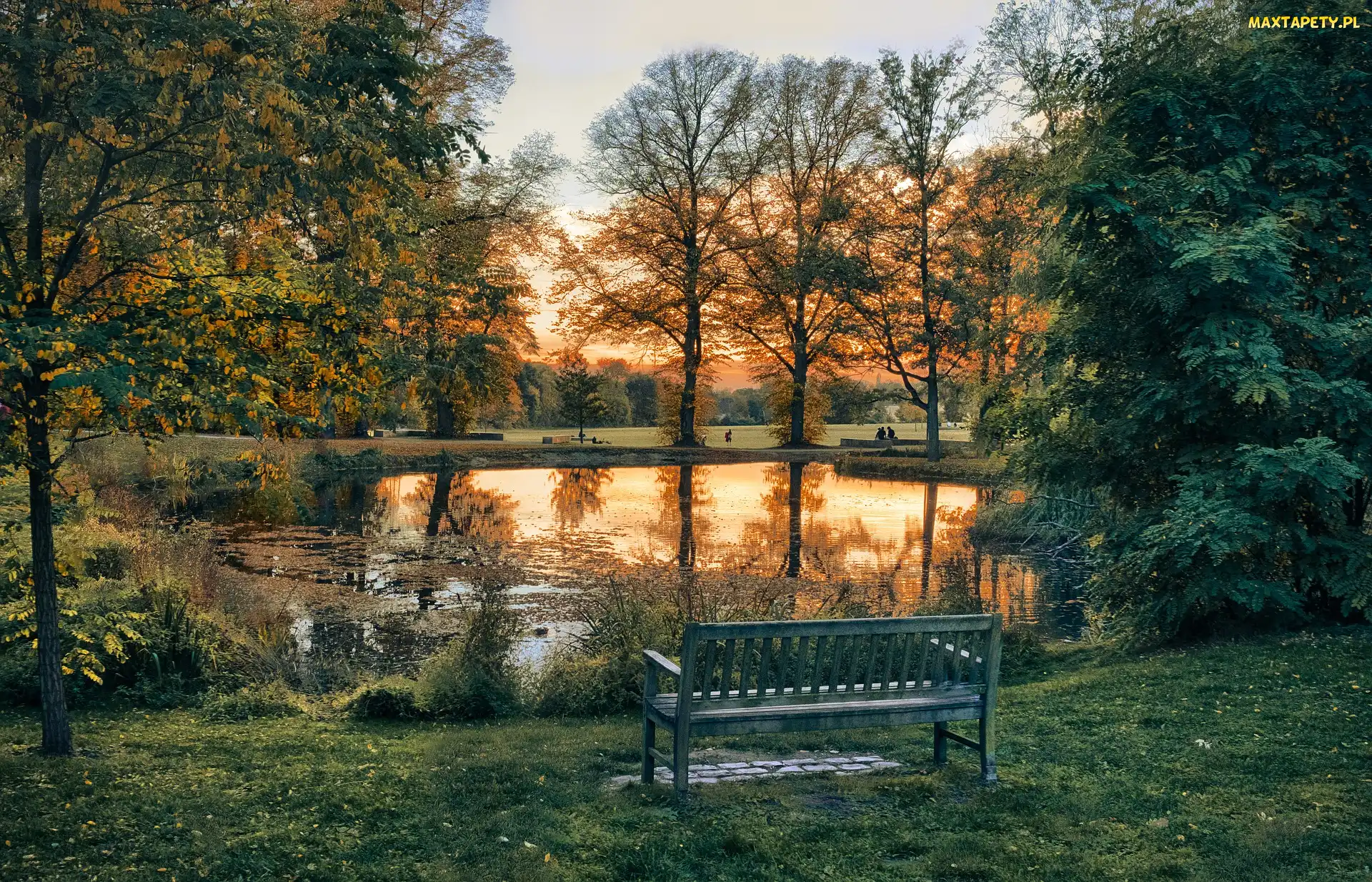Staw, Zachód słońca, Drzewa, Ławka, Park