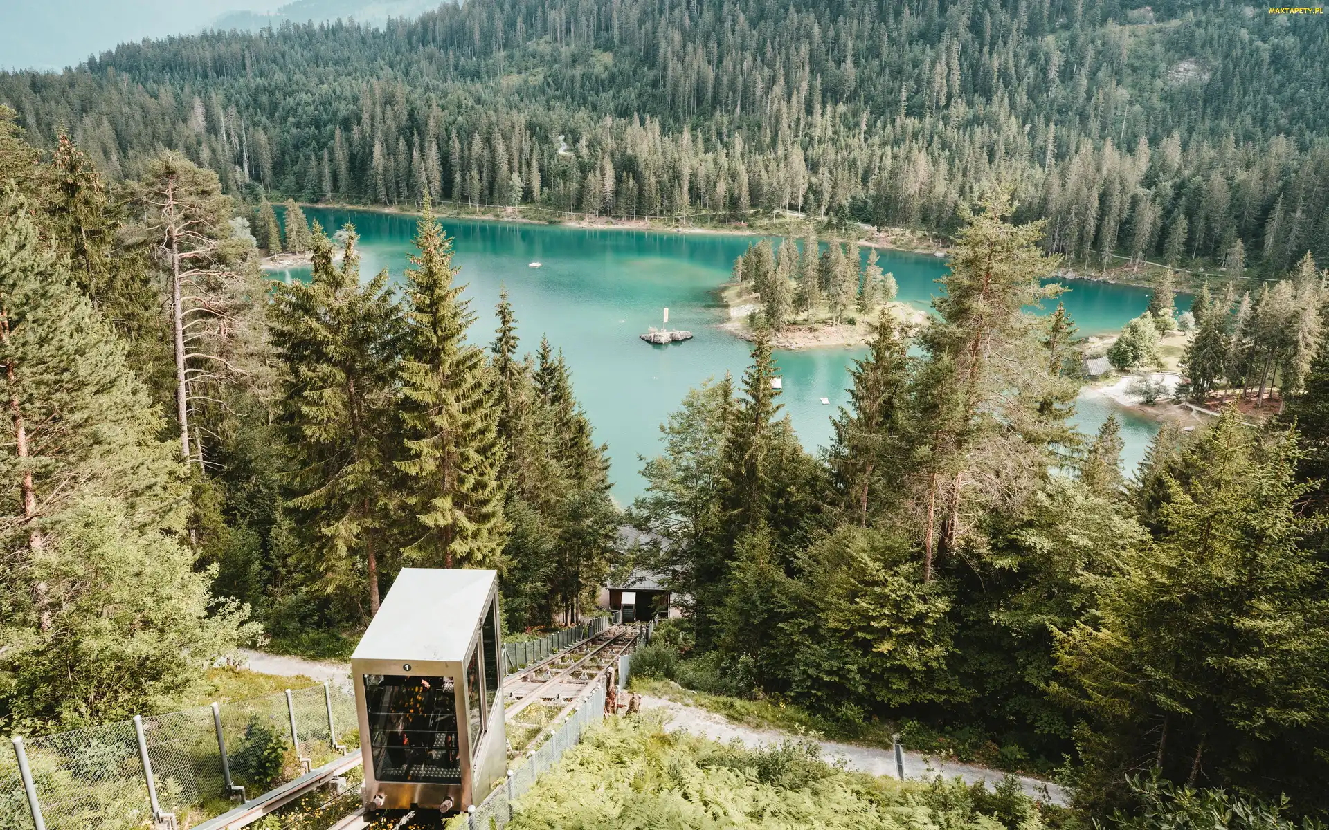 Lasy, Kolejka linowa, Jezioro Caumasee, Wzgórze, Gryzonia, Drzewa, Szwajcaria, Gmina Flims