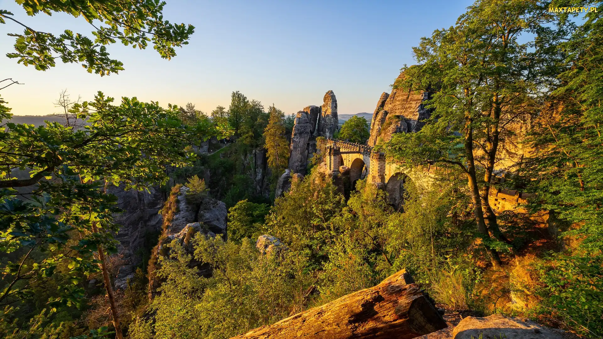 Park Narodowy Saskiej Szwajcarii, Bastei, Góry Połabskie, Formacja skalna, Most, Niemcy, Drzewa, Skały