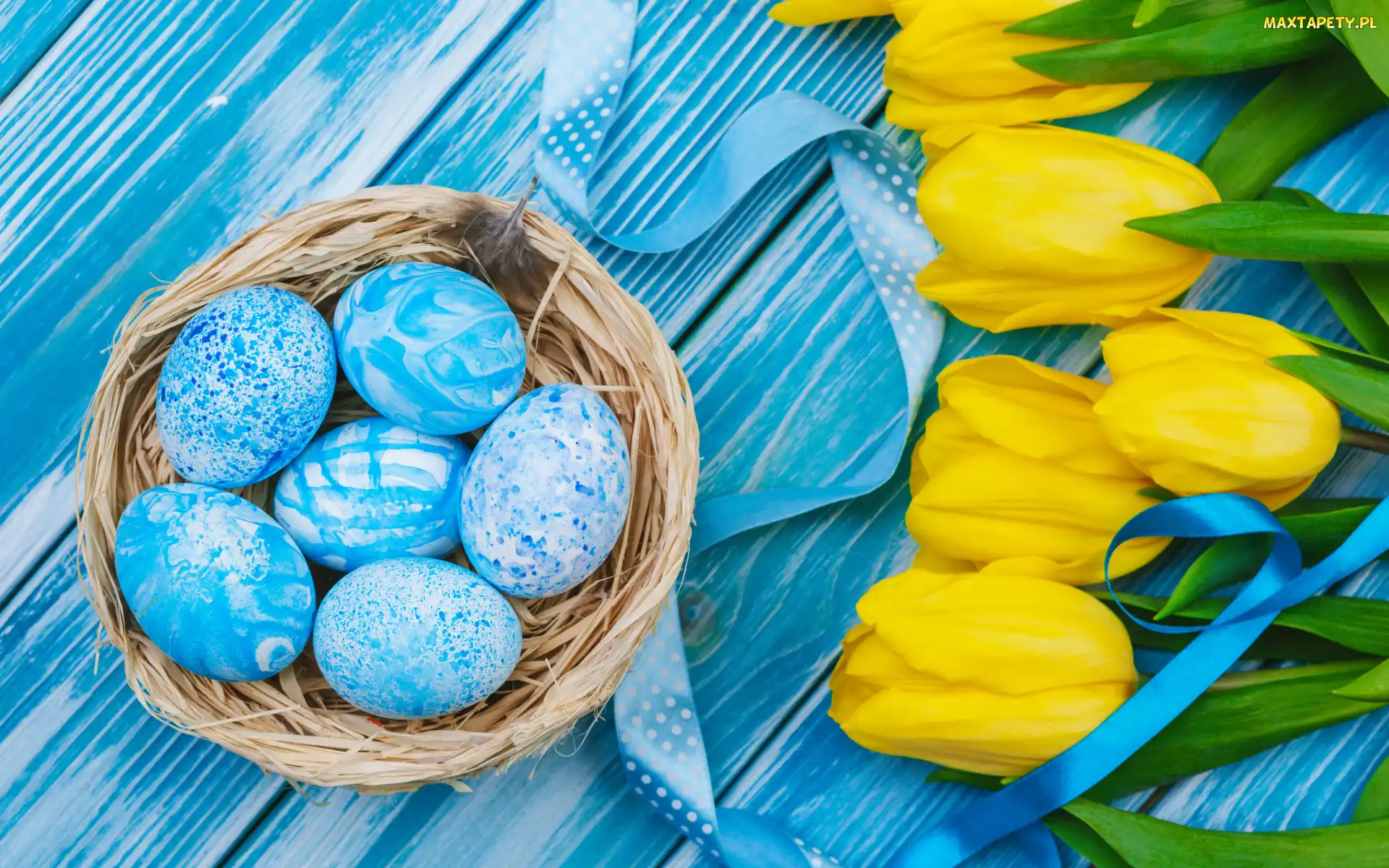 Żółte, Wstążka, Tulipany, Gniazdo, Deski, Pisanki, Wielkanoc, Niebieskie