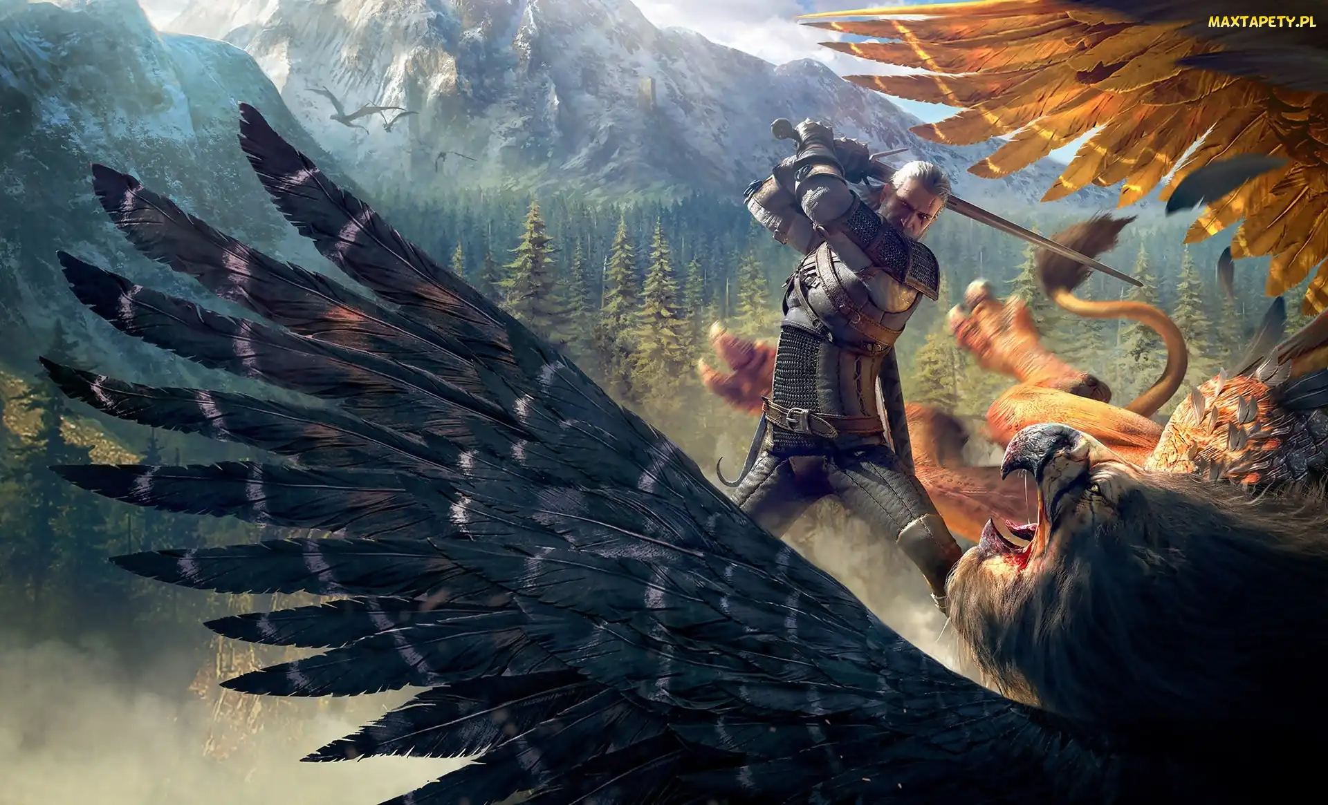 Gra, Wiedźmin 3 Dziki Gon, Walka, Geralt z Rivii, Ptak, The Witcher 3 Wild Hunt