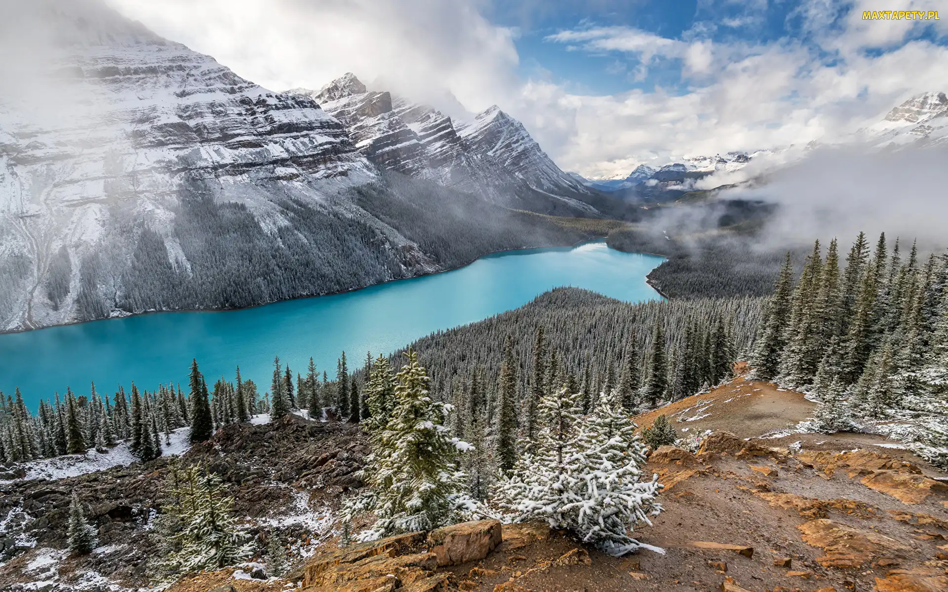 Kanada, Śnieg, Drzewa, Prowincja Alberta, Góry, Park Narodowy Banff, Jezioro, Peyto Lake, Zima, Chmury