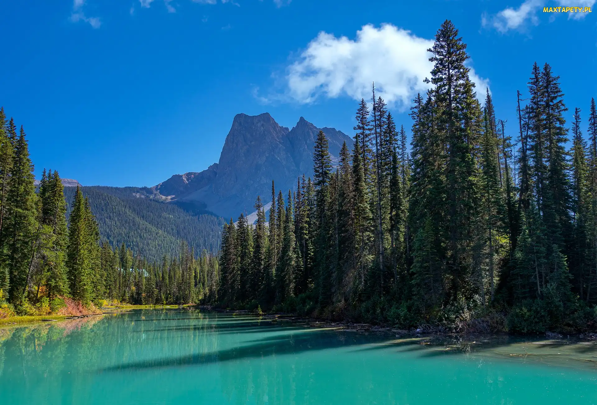 Kolumbia Brytyjska, Park Narodowy Yoho, Emerald Lake, Kanada, Góry Skaliste, Jezioro, Drzewa