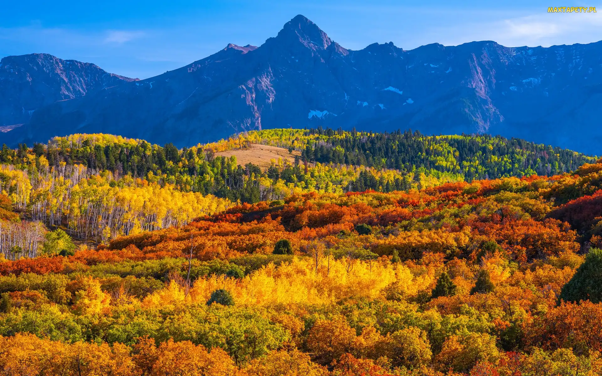 Przełęcz, Jesień, San Juan Mountains, Góry, Stany Zjednoczone, Drzewa, Lasy, Kolorado, Dallas Divide