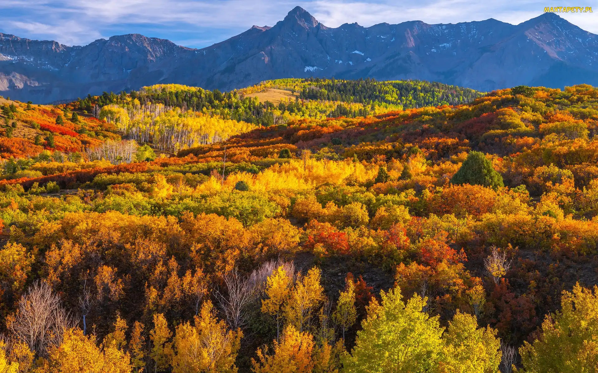 Jesień, Kolorado, Lasy, Stany Zjednoczone, Drzewa, Dallas Divide, Góry, San Juan Mountains, Przełęcz