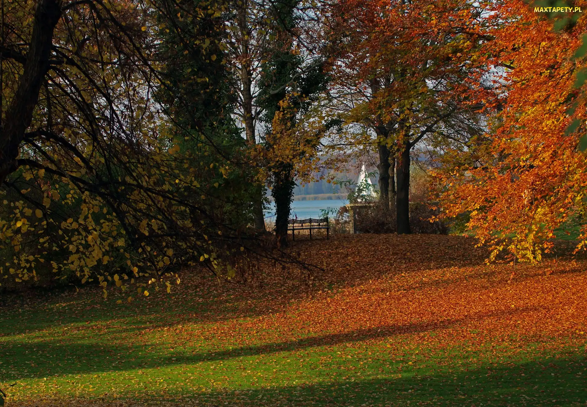 Jesień, Ławka, Liście, Drzewa, Park