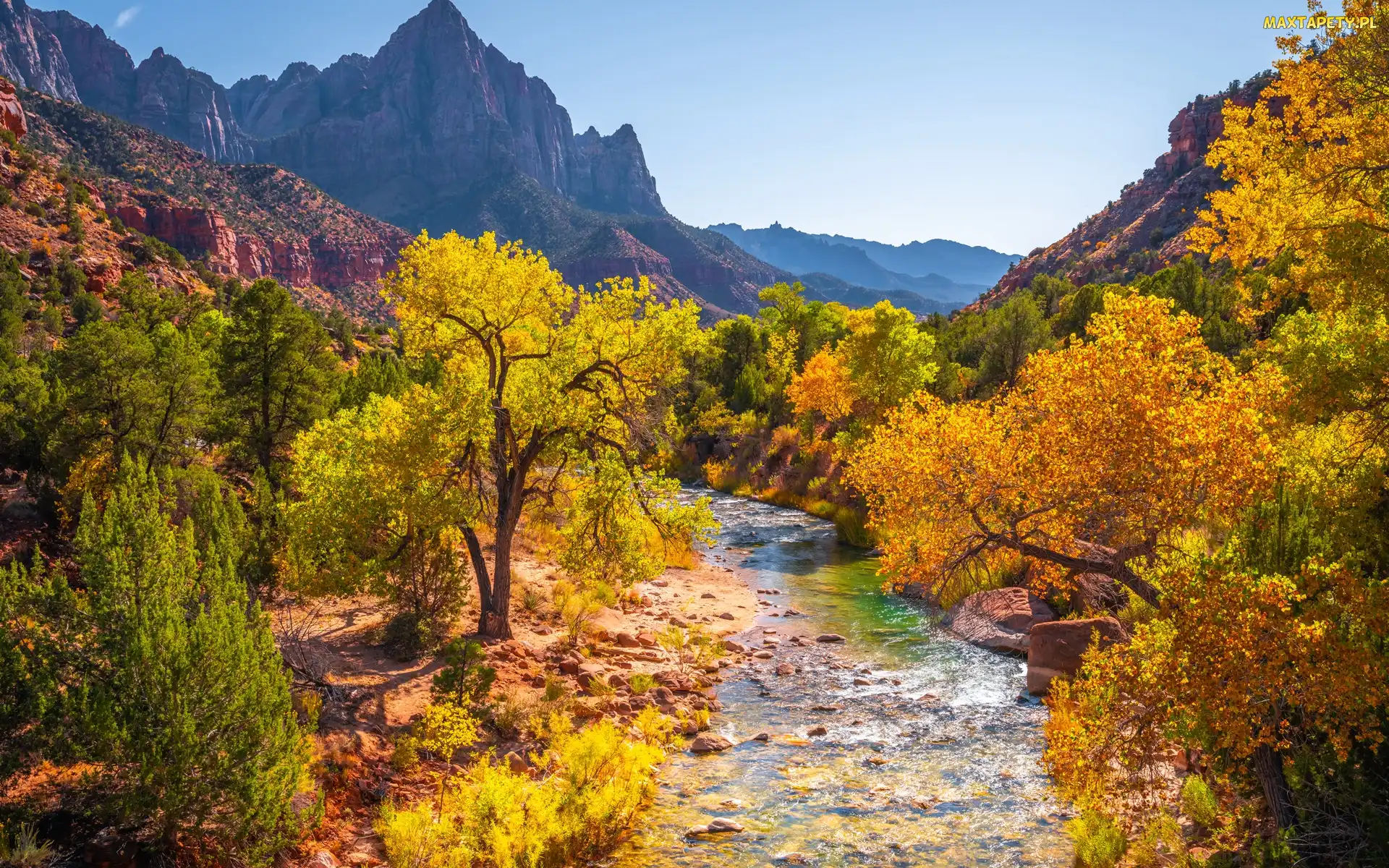 Góry Watchman, Drzewa, Park Narodowy Zion, Kamienie, Stan Utah, Rzeka Virgin River, Stany Zjednoczone, Jesień