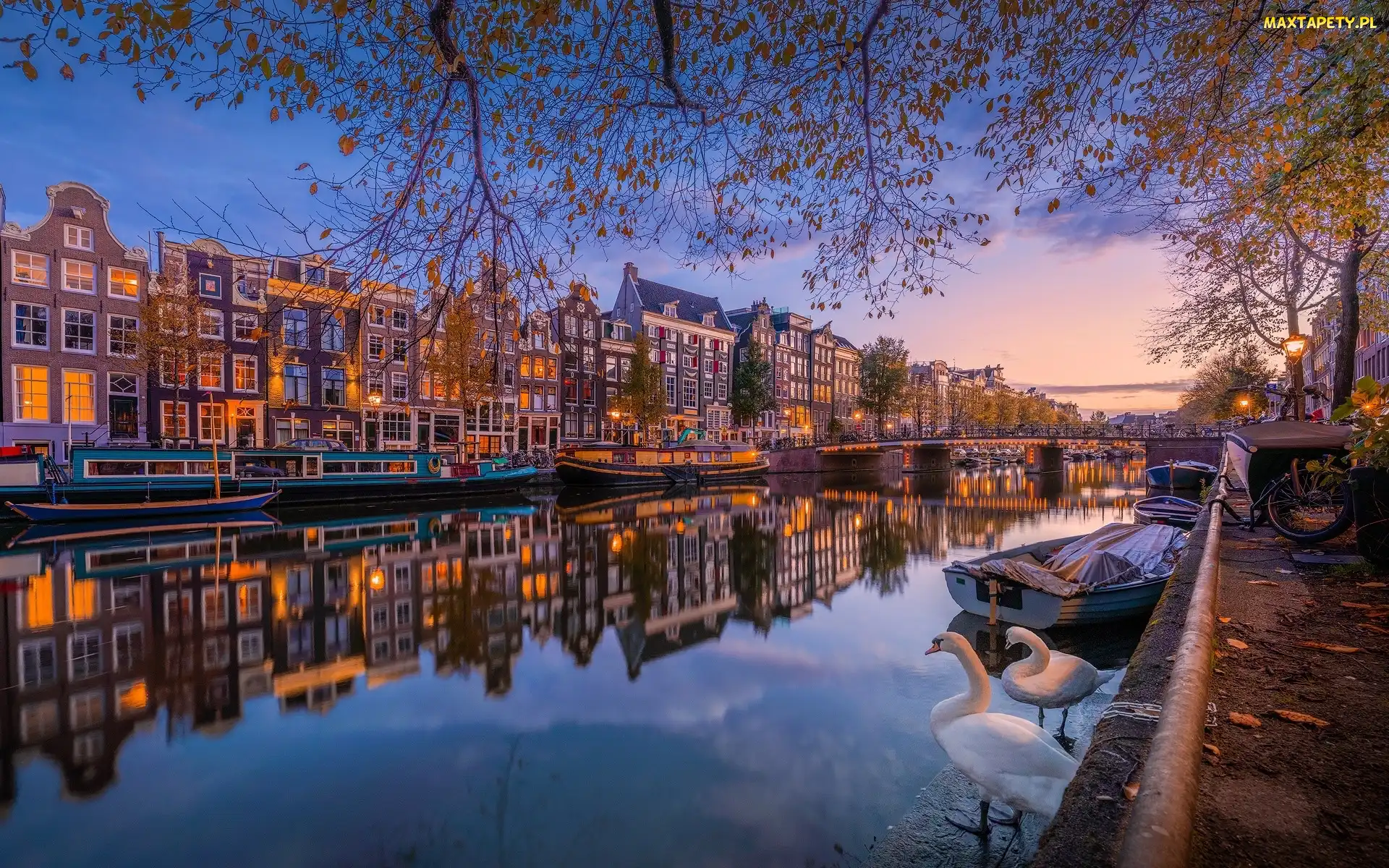 Amsterdam, Jesień, Holandia, Kanał, Łabędzie, Domy, Łodzie, Drzewa
