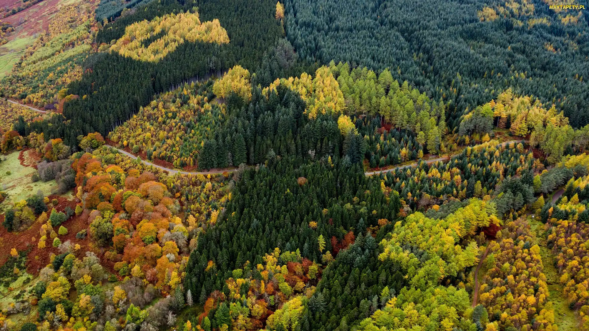 Jesień, Drzewa, Droga, Z lotu ptaka, Kolorowe, Góry, Las