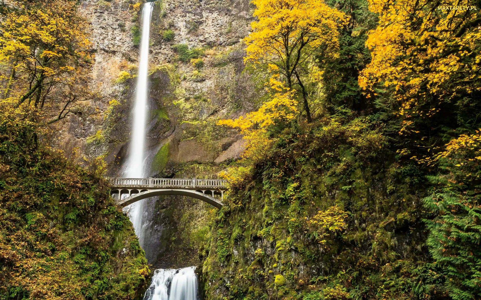 Drzewa, Multnomah Falls, Wodospad, Stany Zjednoczone, Jesień, Las, Stan Oregon, Most