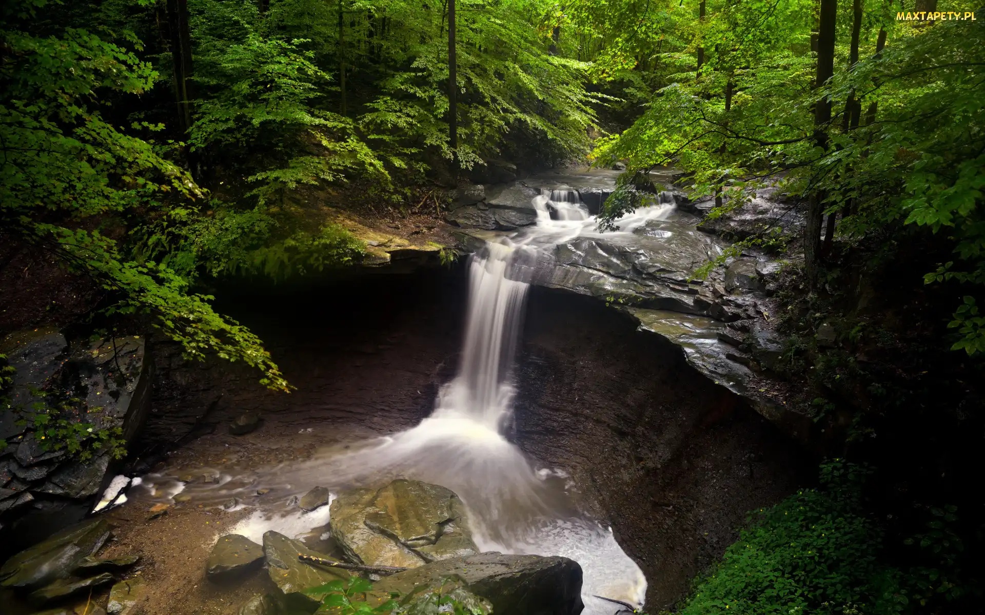 Stany Zjednoczone, Park Narodowy Cuyahoga Valley, Kamienie, Stan Ohio, Rzeka, Blue Hen Falls, Skała, Las, Wodospad, Drzewa