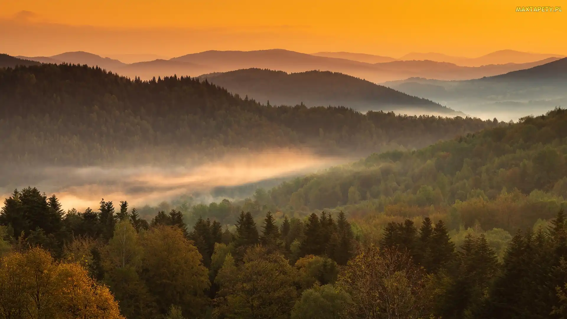 Góry, Mgła, Lasy, Wzgórza