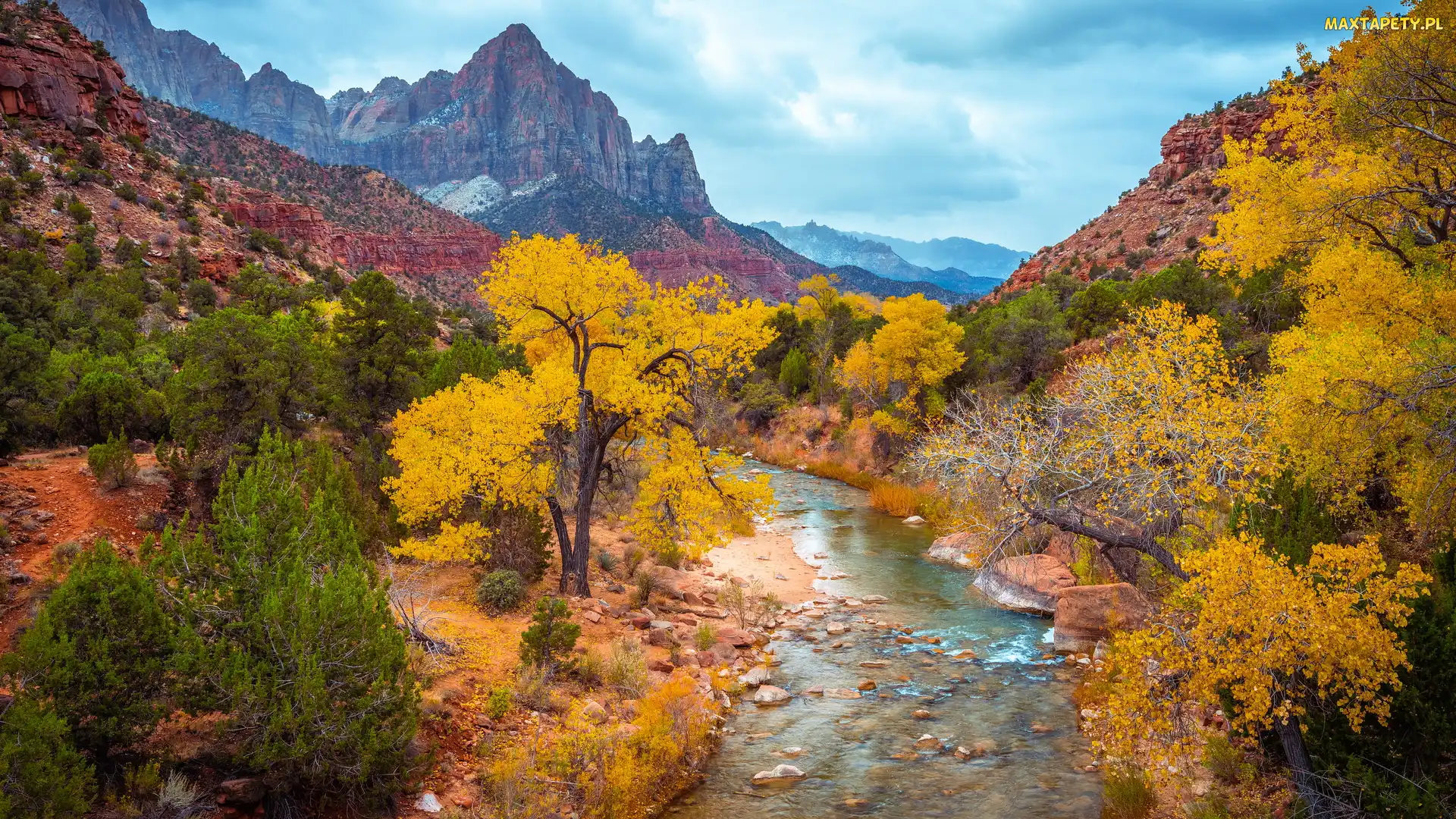 Stany Zjednoczone, Park Narodowy Zion, Drzewa, Utah, Góra Watchman, Góry, Rzeka, Virgin River, Jesień, Kamienie