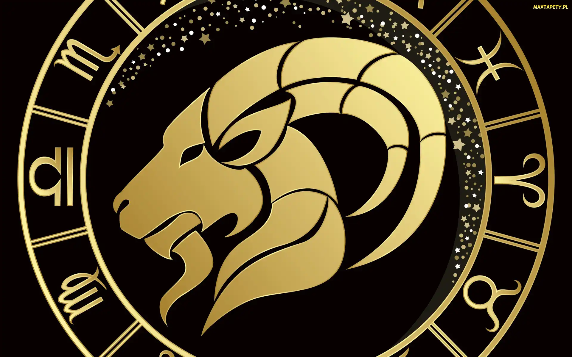 Zodiaku, Tło, Czarne, Koziorożec, Znak