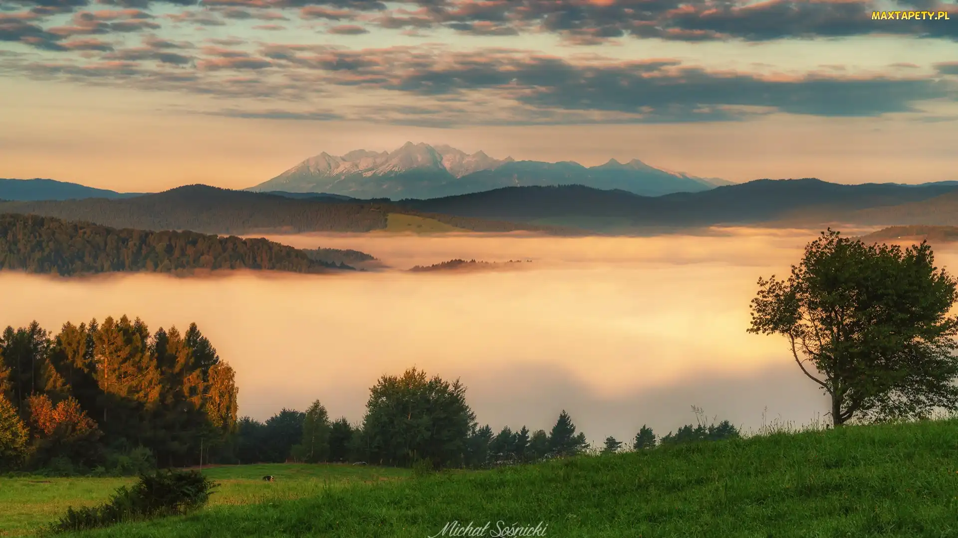 Beskid Sądecki, Chmury, Lasy, Polska, Mgła, Góry, Drzewa