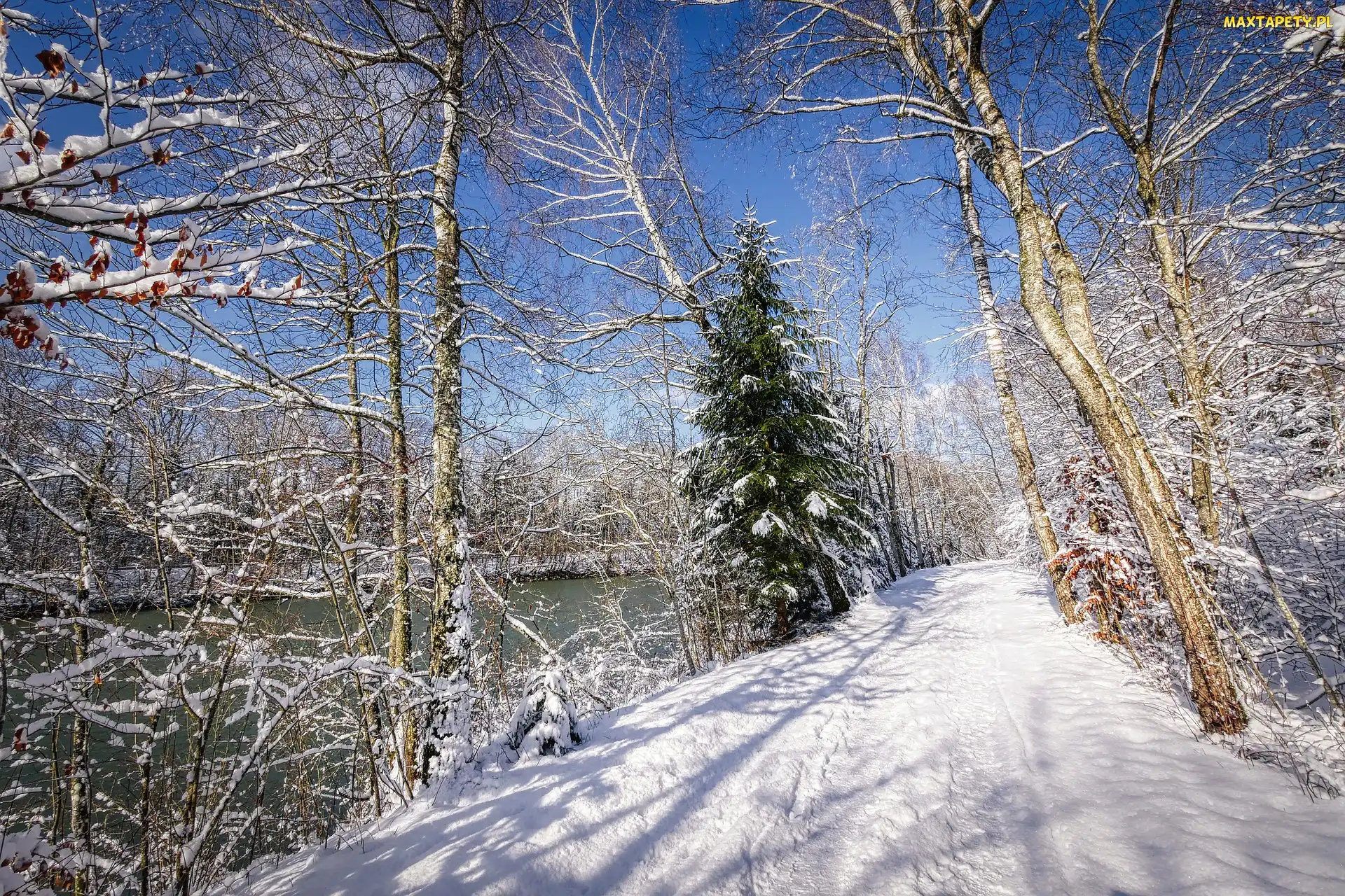 Zima, Drzewa, Rzeka, Śnieg, Droga