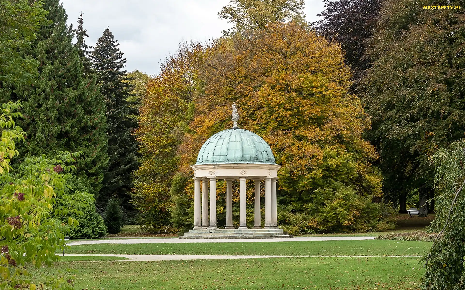 Drzewa, Altana, Dolna Saksonia, Jesień, Park zdrojowy, Niemcy, Bad Pyrmont