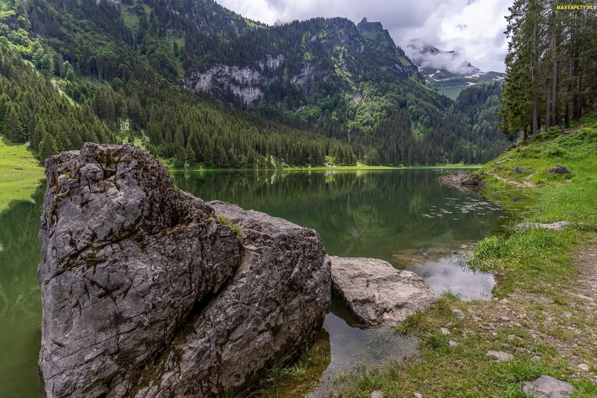 Kamień, Drzewa, Jezioro Voralpsee, Alpy, Kanton Sankt Gallen, Góry, Szwajcaria, Lasy