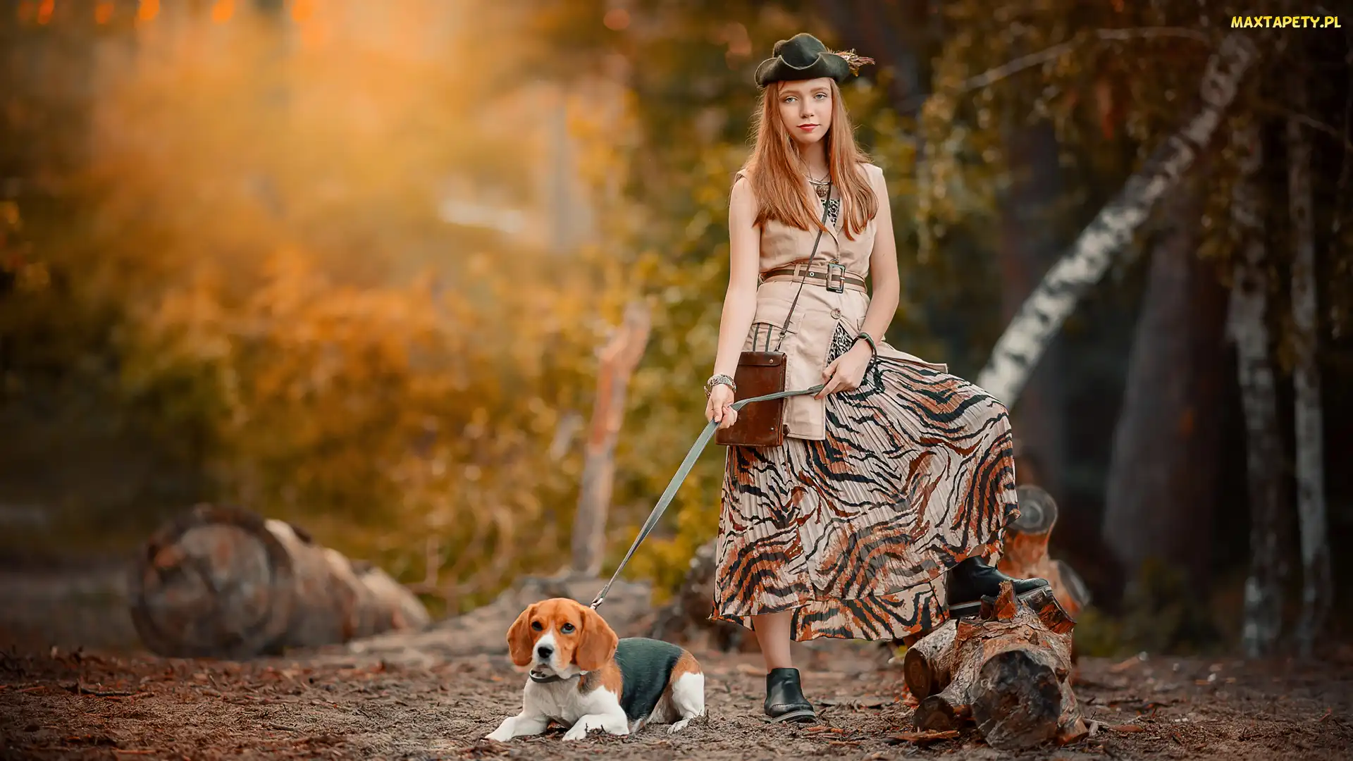 Pies, Drzewa, Las, Beagle, Dziewczyna