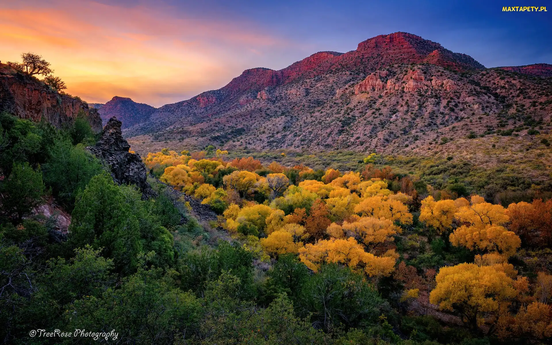 Arizona, Kanion Sycamore, Kolorowe, Stany Zjednoczone, Góry, Jesień, Drzewa