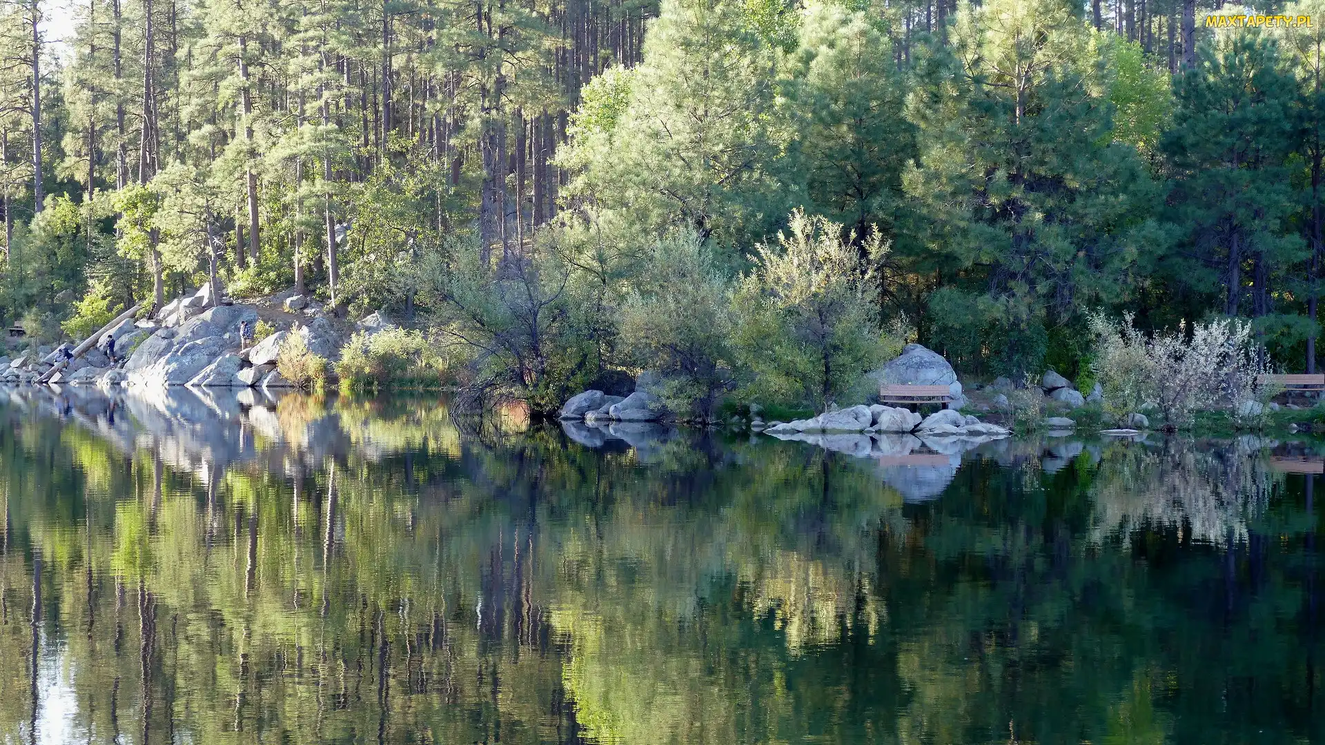 Jezioro, Odbicie, Las, Kamienie, Drzewa